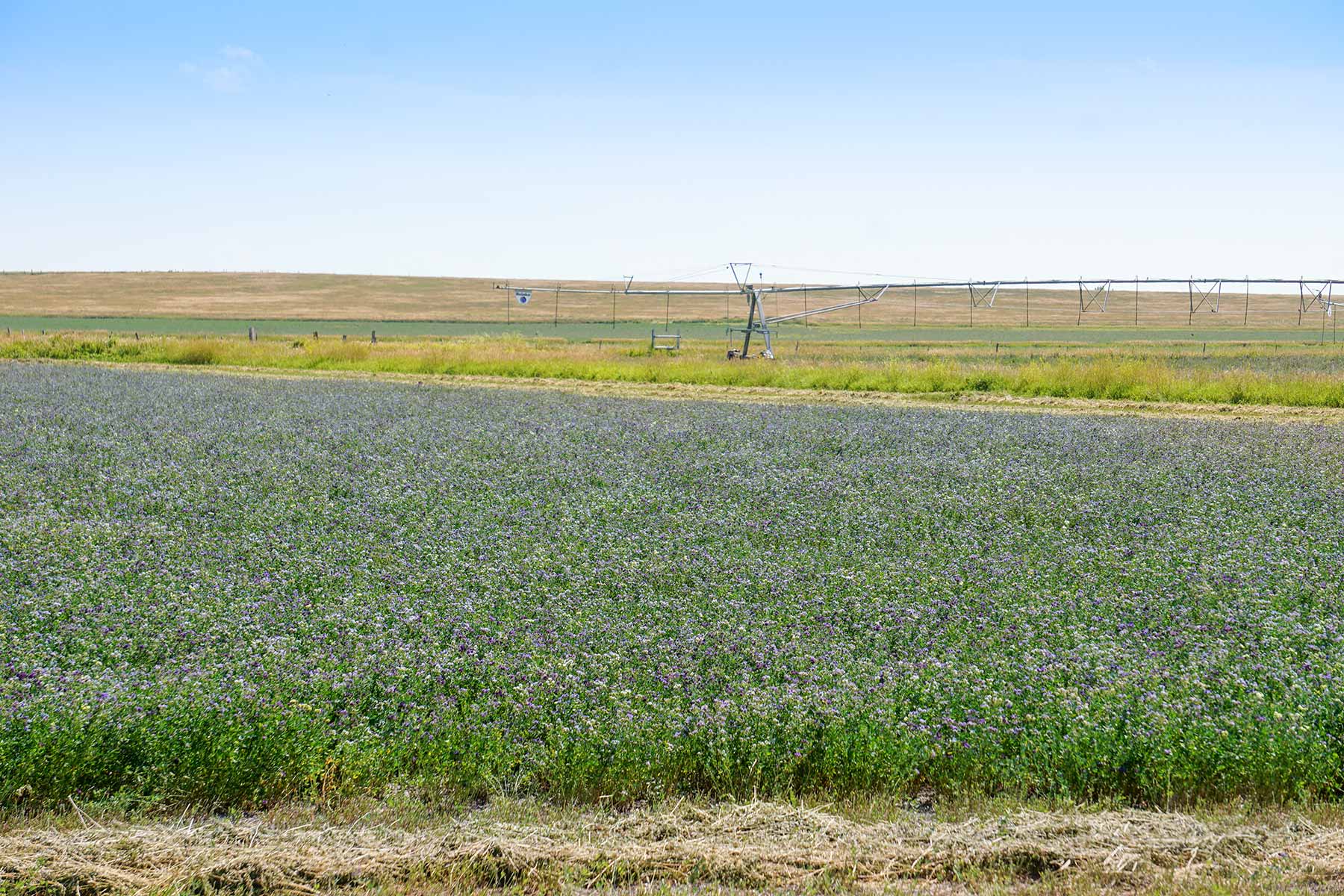 Whitney Lake Farm property picture 12 of 20