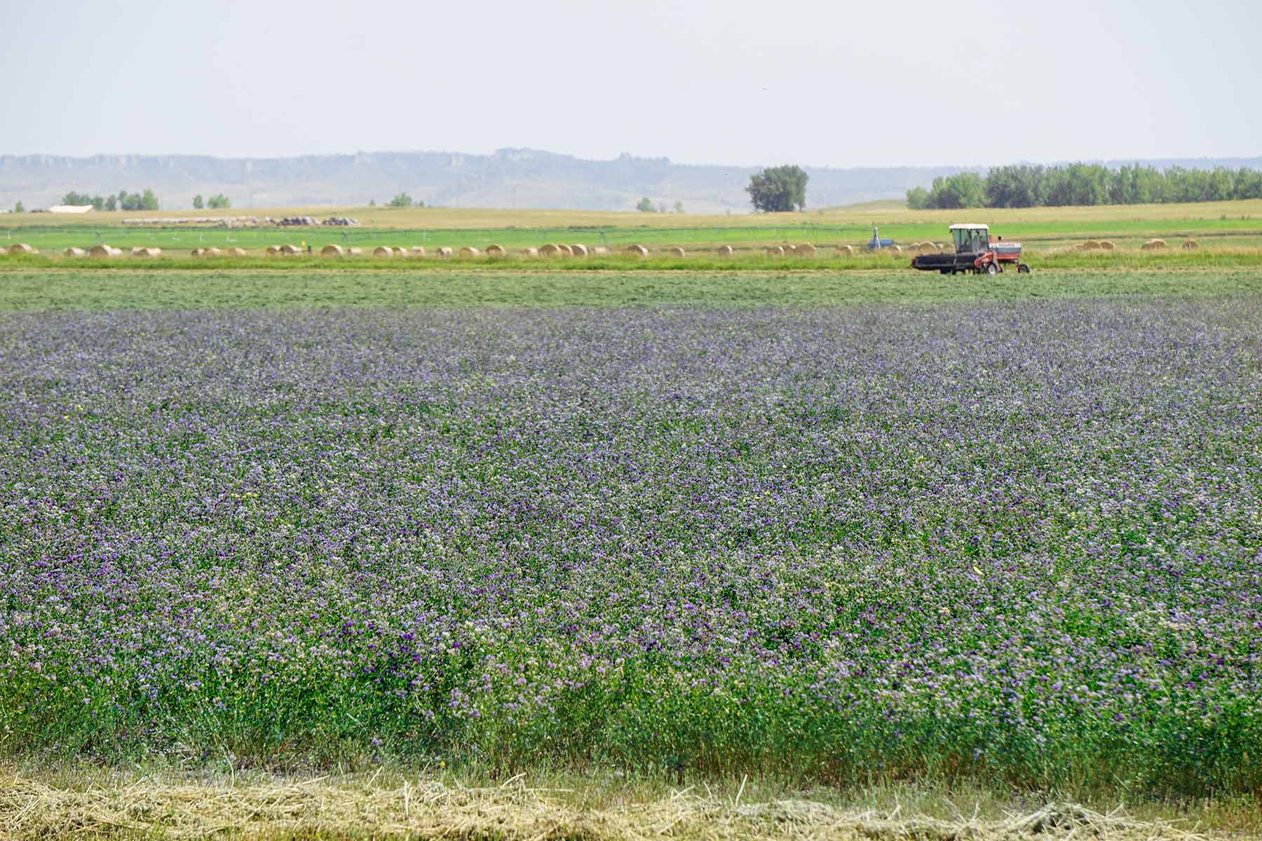 Whitney Lake Farm property picture 10 of 20