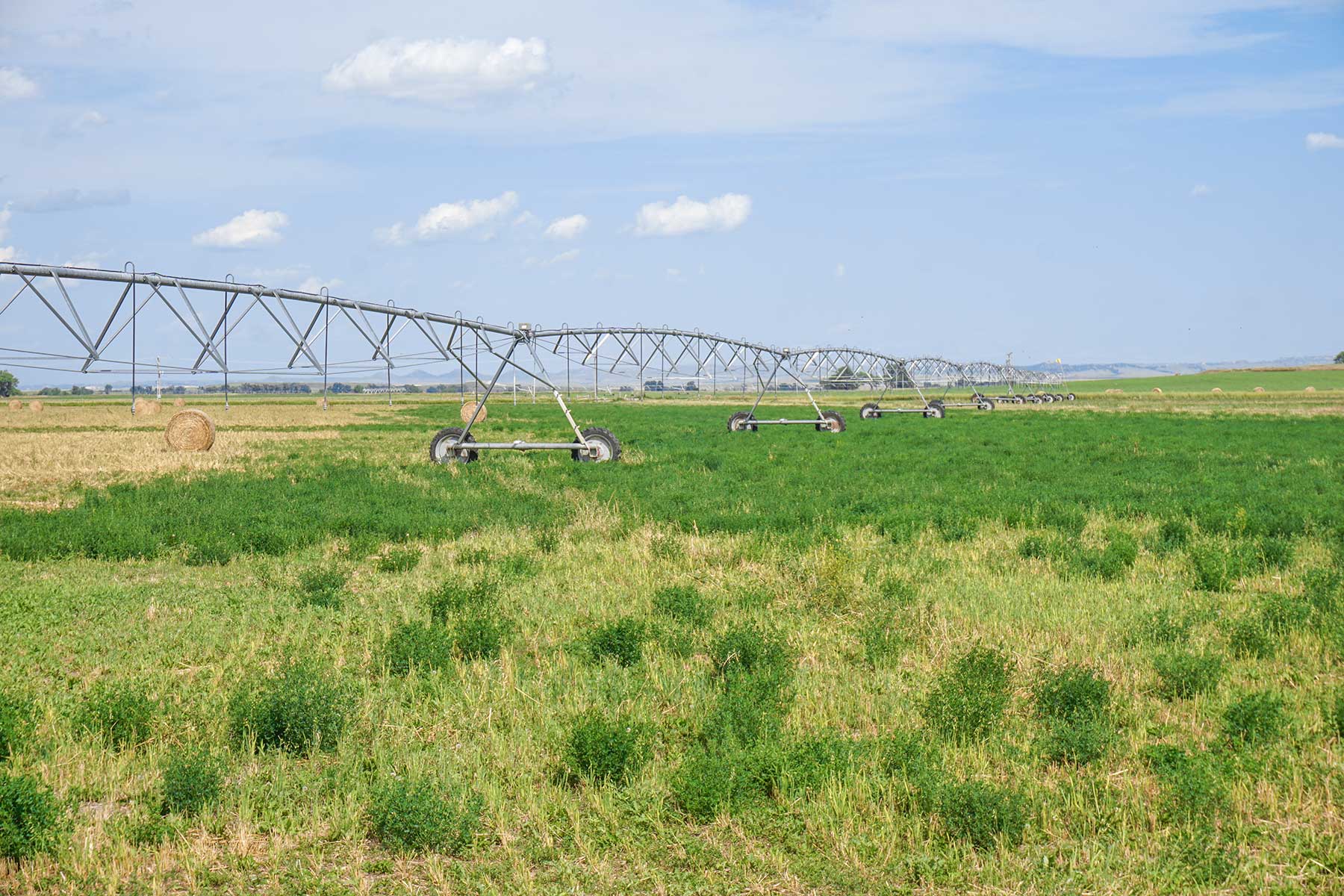 Whitney Lake Farm property picture 3 of 20
