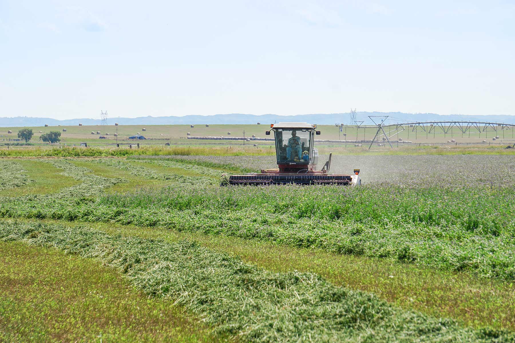 Whitney Lake Farm property picture 13 of 20