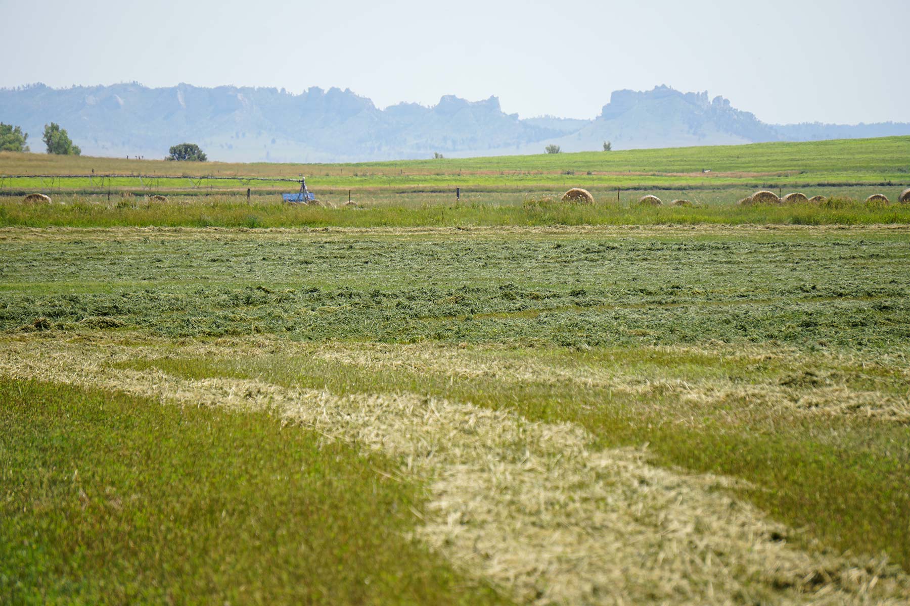 Whitney Lake Farm property picture 8 of 20