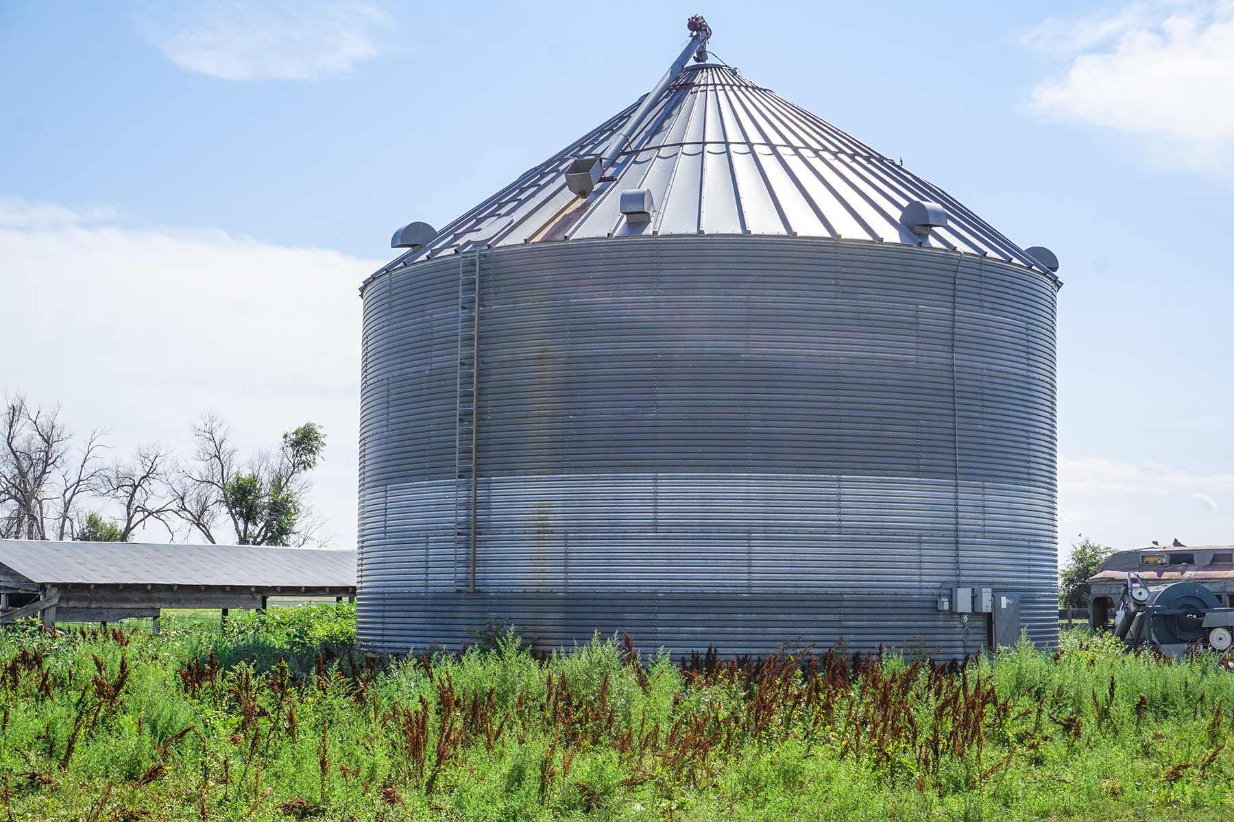 Whitney Lake Farm property picture 14 of 20