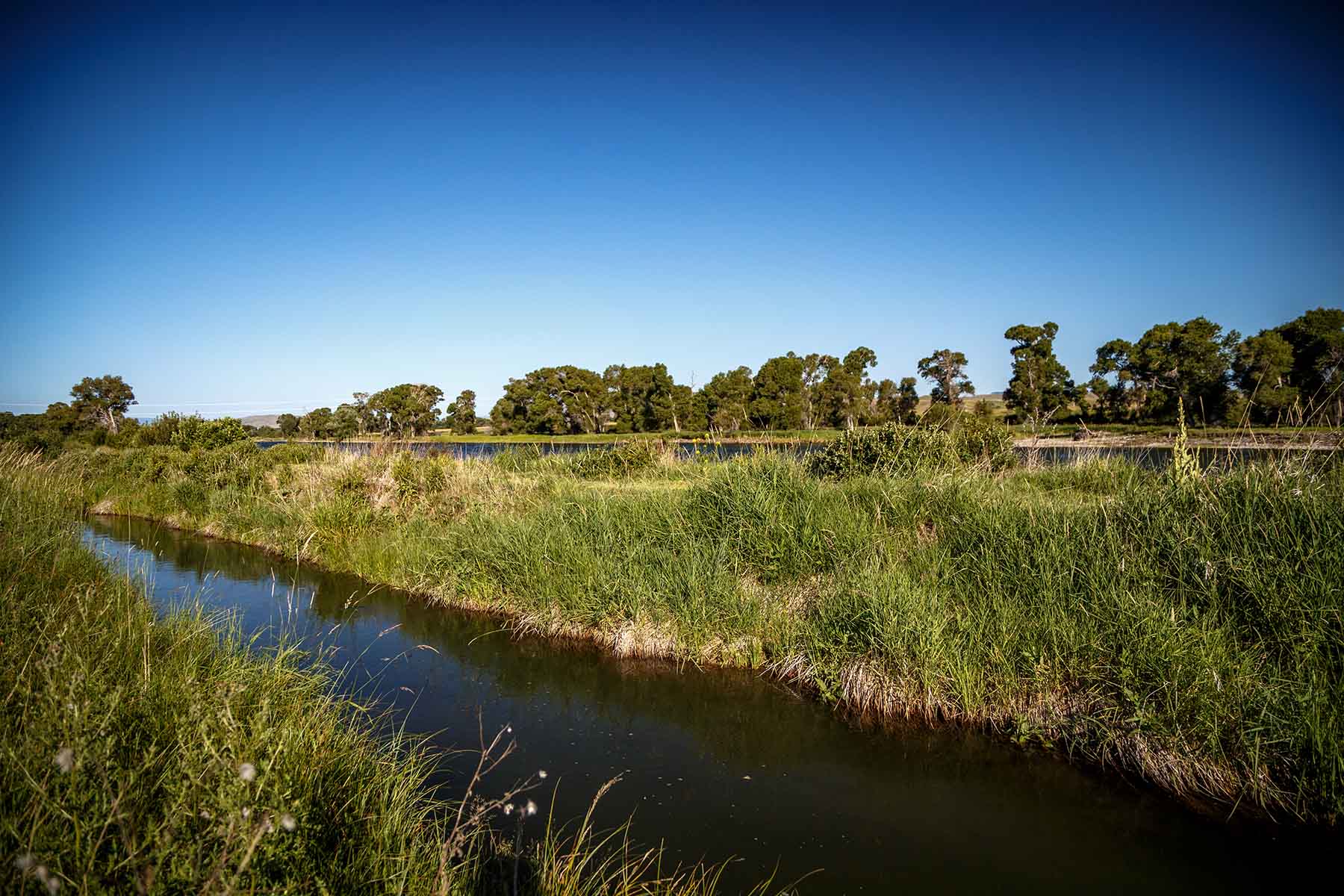 Top Water Springs property picture 42 of 49