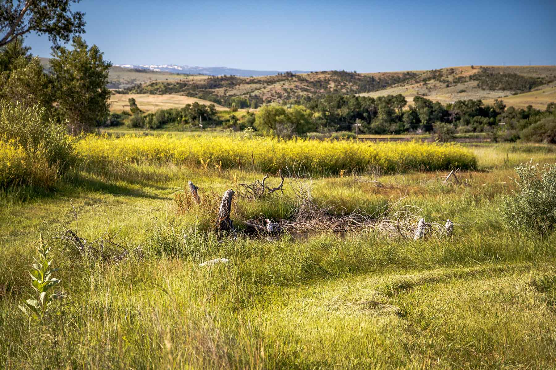 Top Water Springs property picture 45 of 49