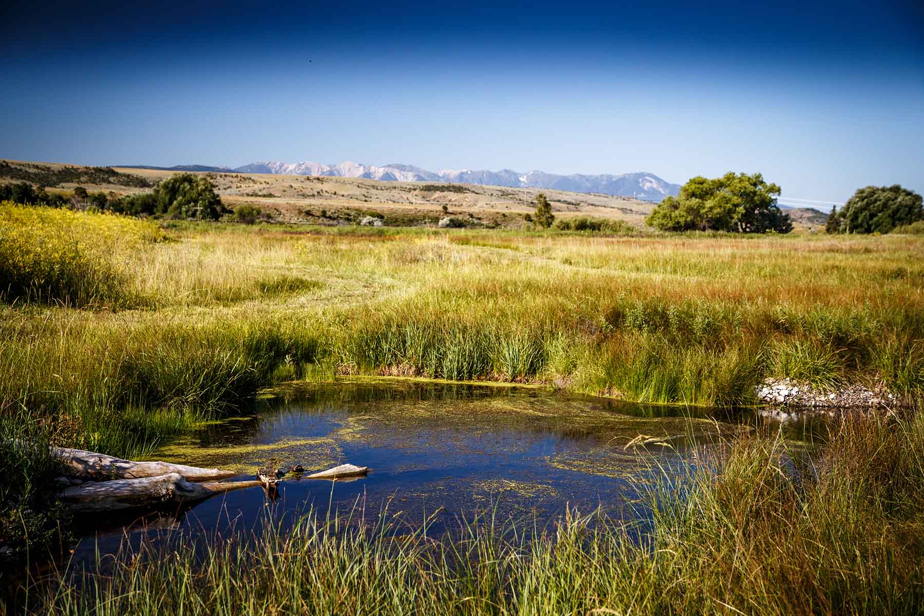 Top Water Springs property picture 29 of 49