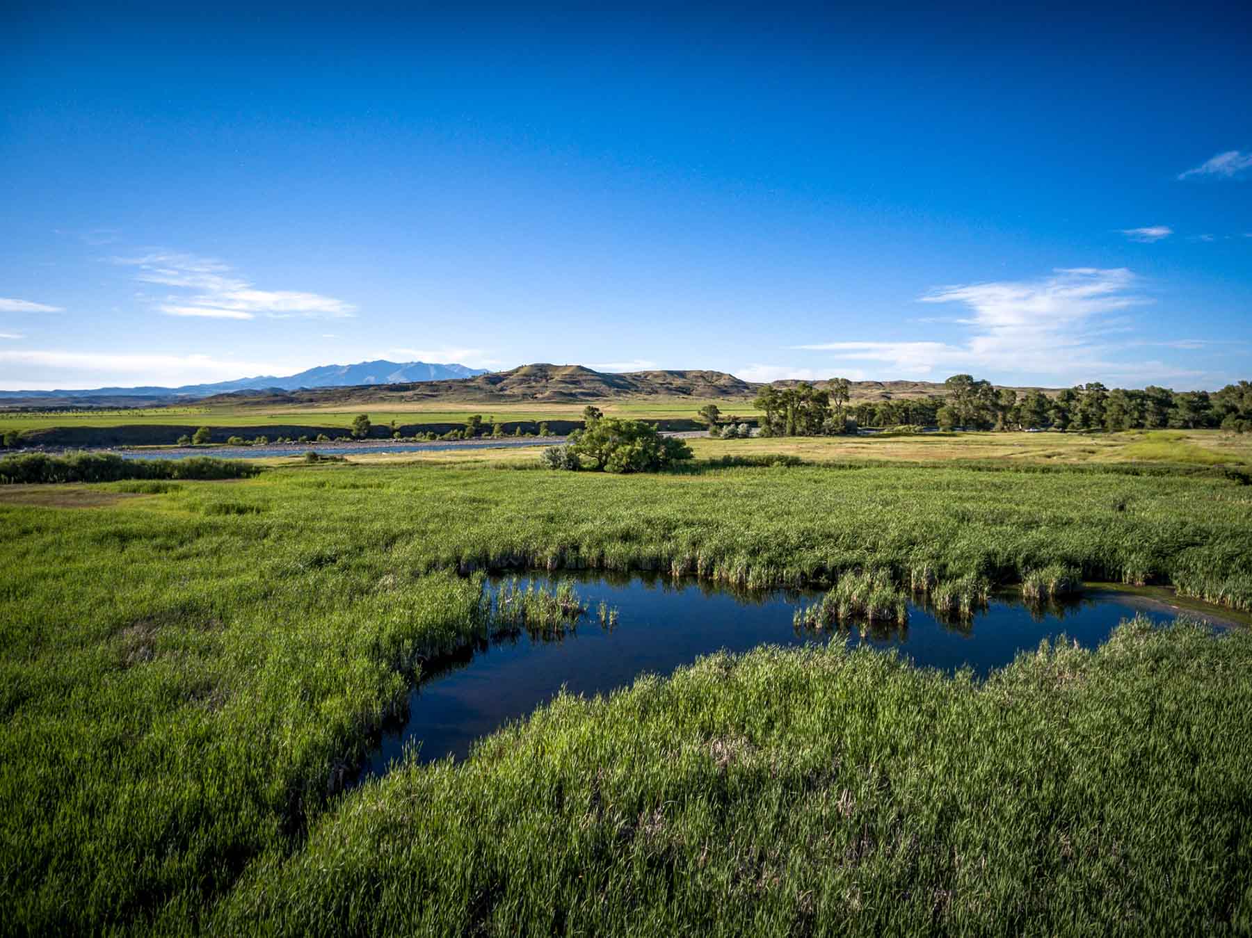 Top Water Springs property picture 31 of 49