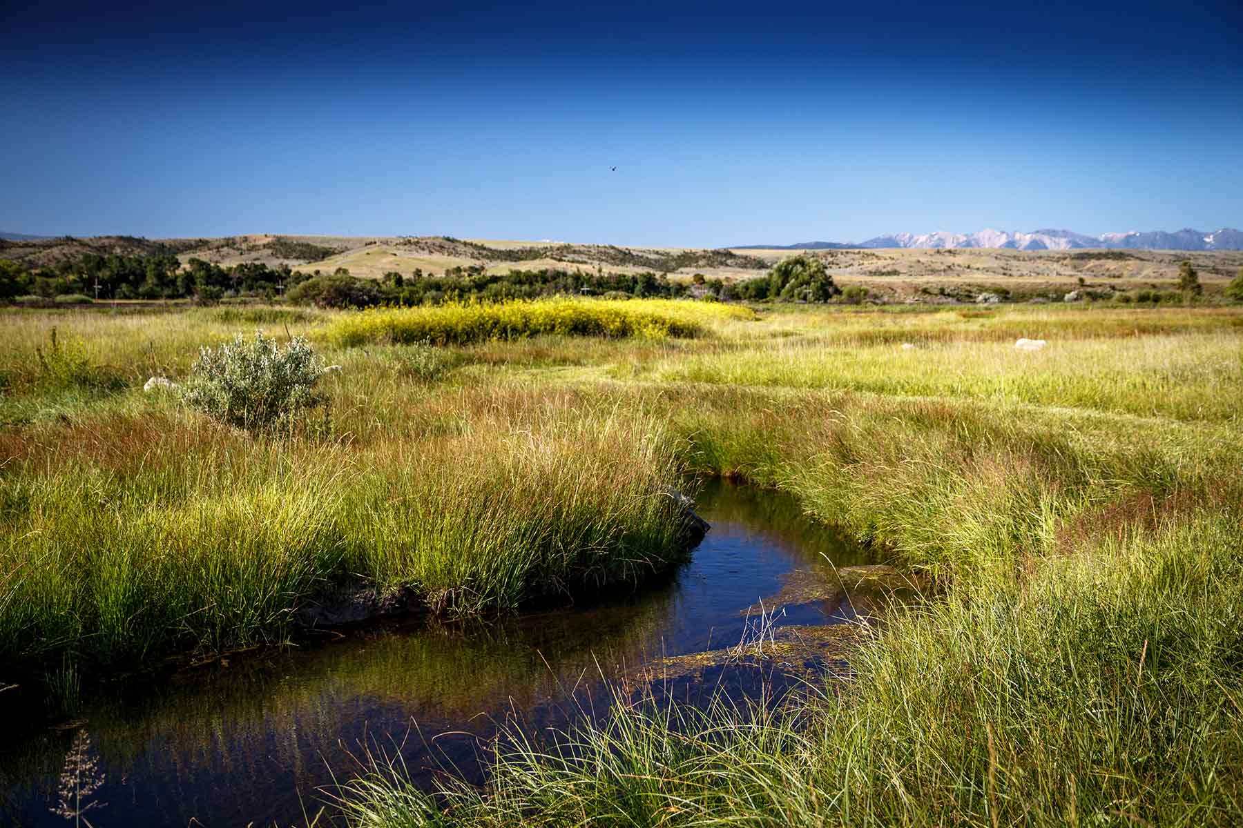 Top Water Springs property picture 33 of 49