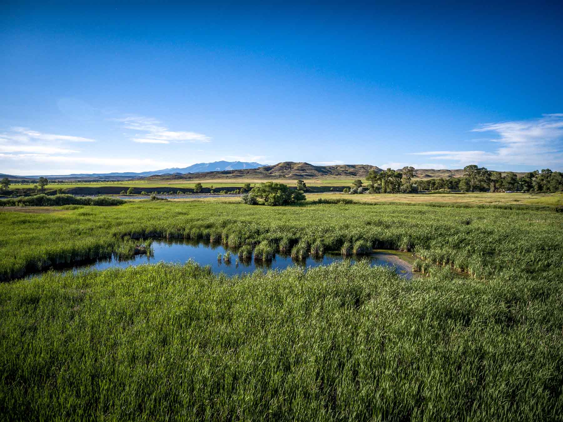 Top Water Springs property picture 38 of 49