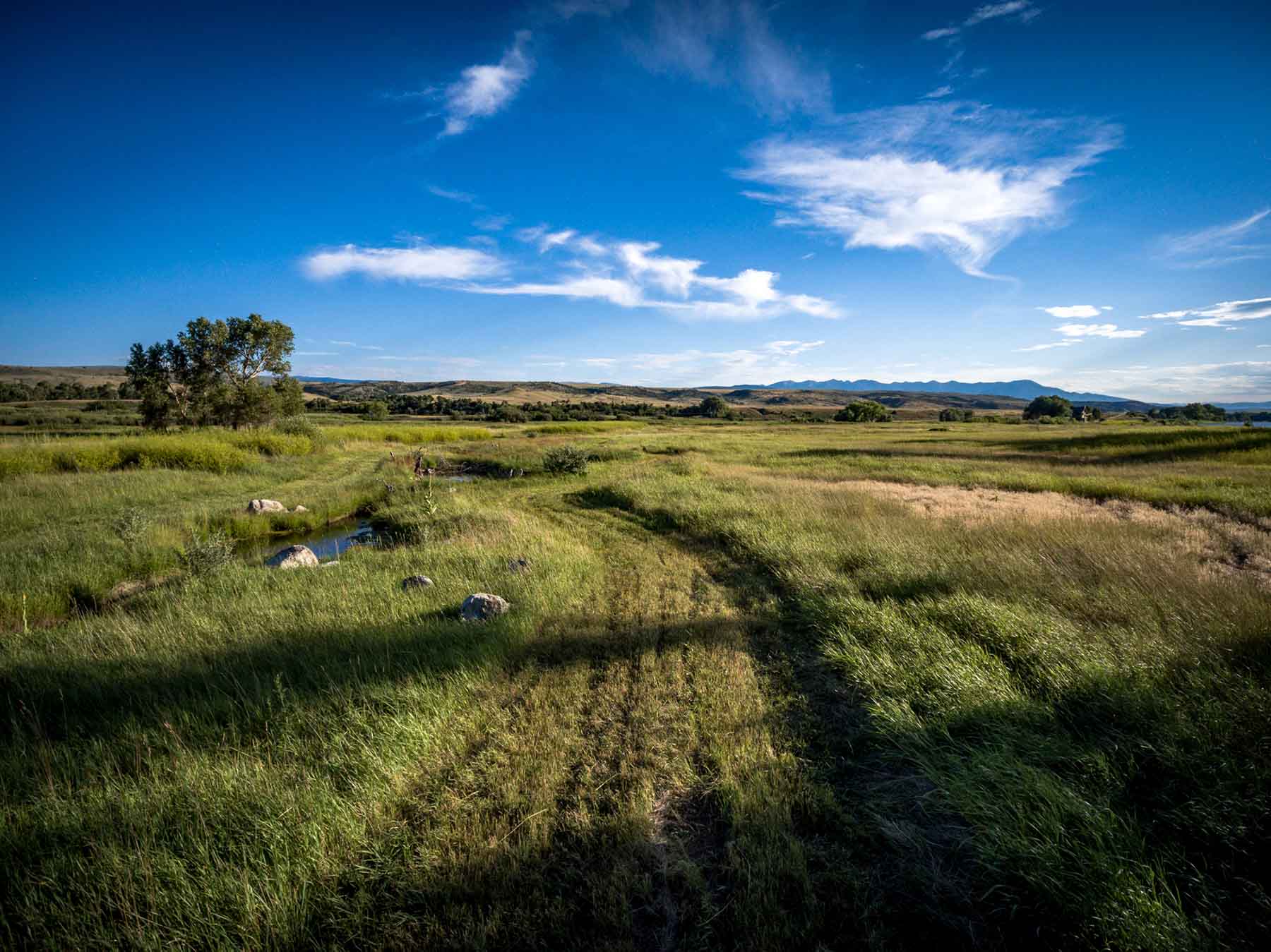 Top Water Springs property picture 44 of 49