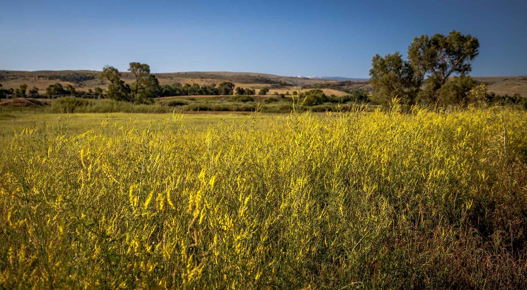 Top Water Springs property picture 27 of 49