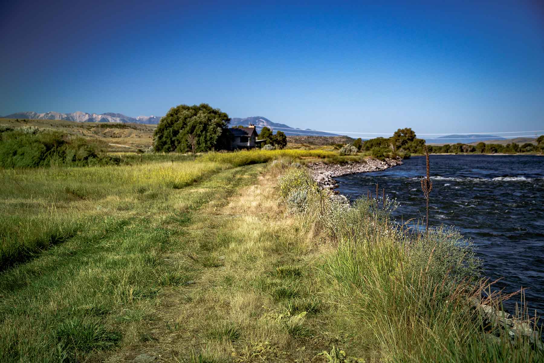 Top Water Springs property picture 25 of 49