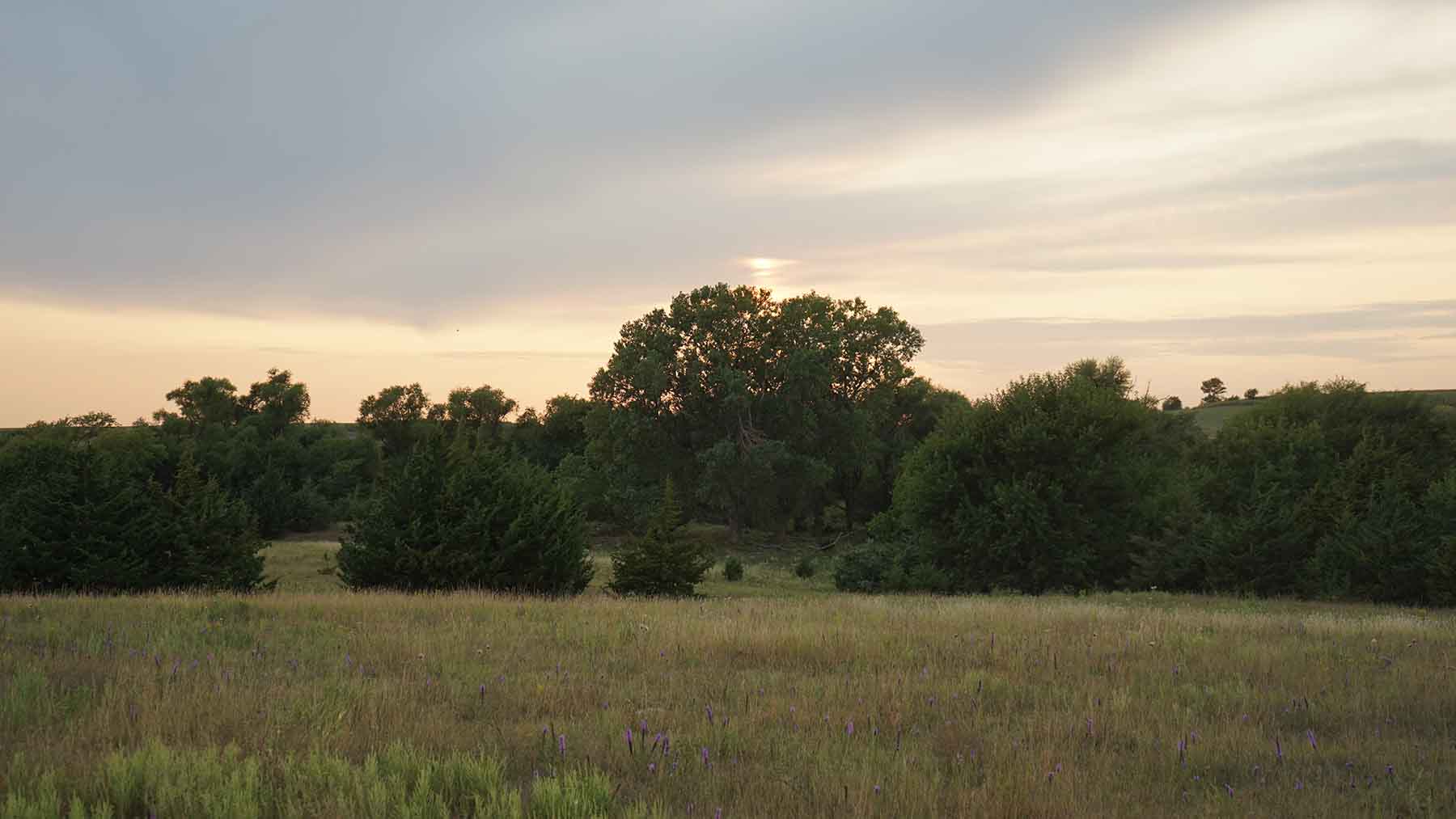 Red Sky Farm & Ranch property picture 77 of 99