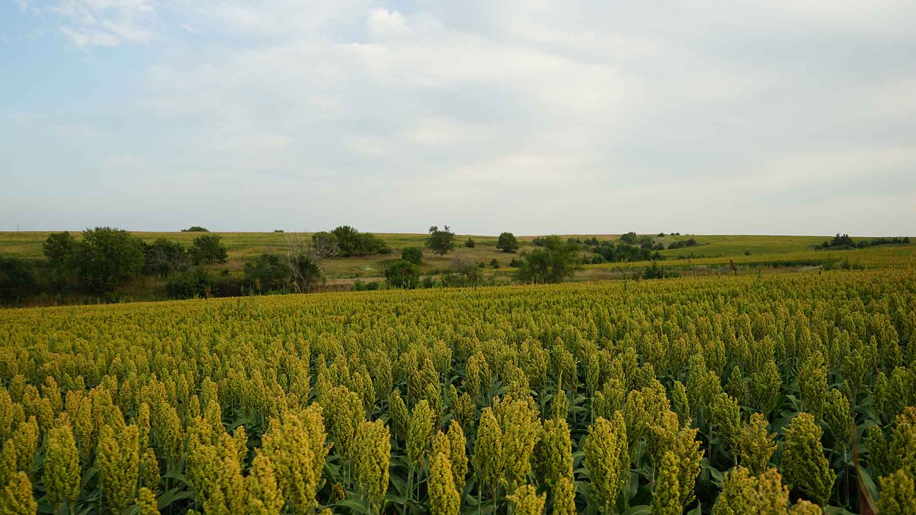 Red Sky Farm & Ranch property picture 3 of 99