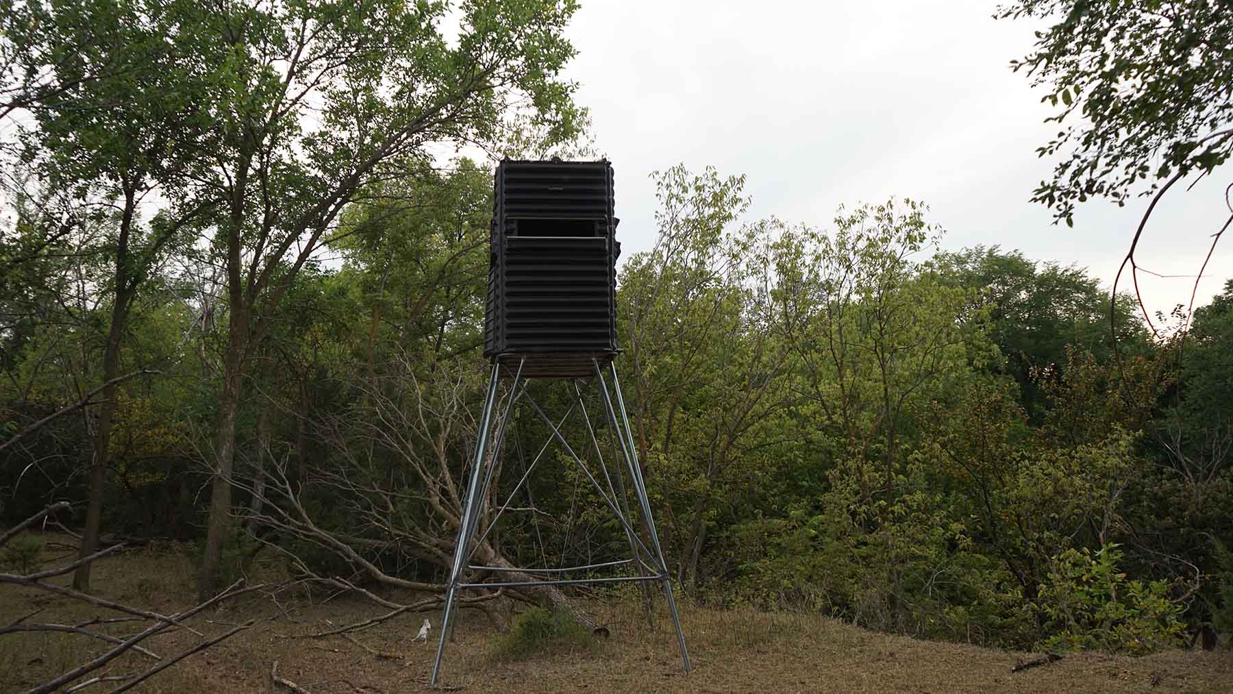 Red Sky Farm & Ranch property picture 68 of 99