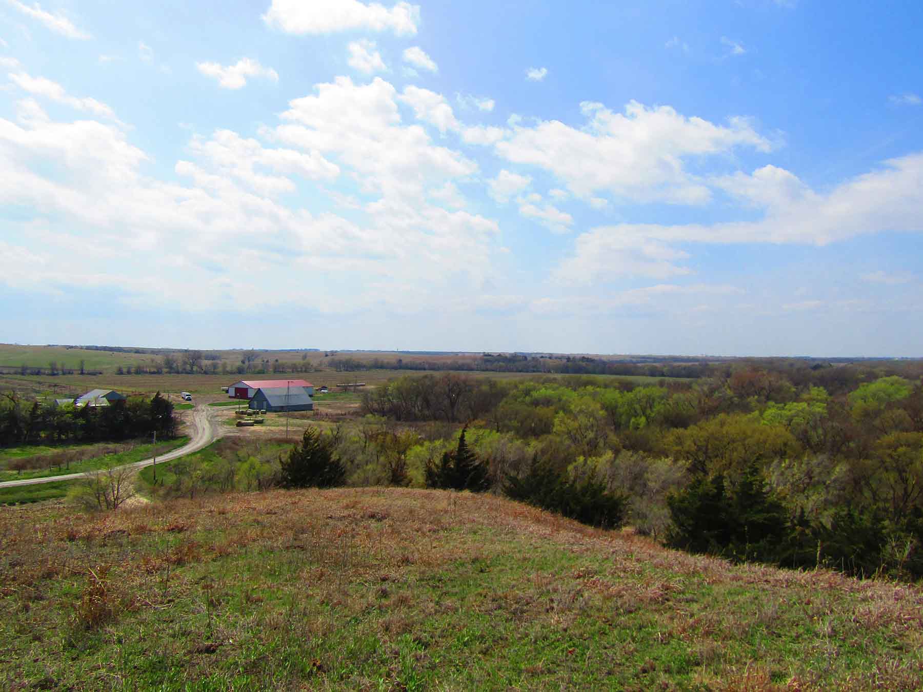 Red Sky Farm & Ranch property picture 6 of 99