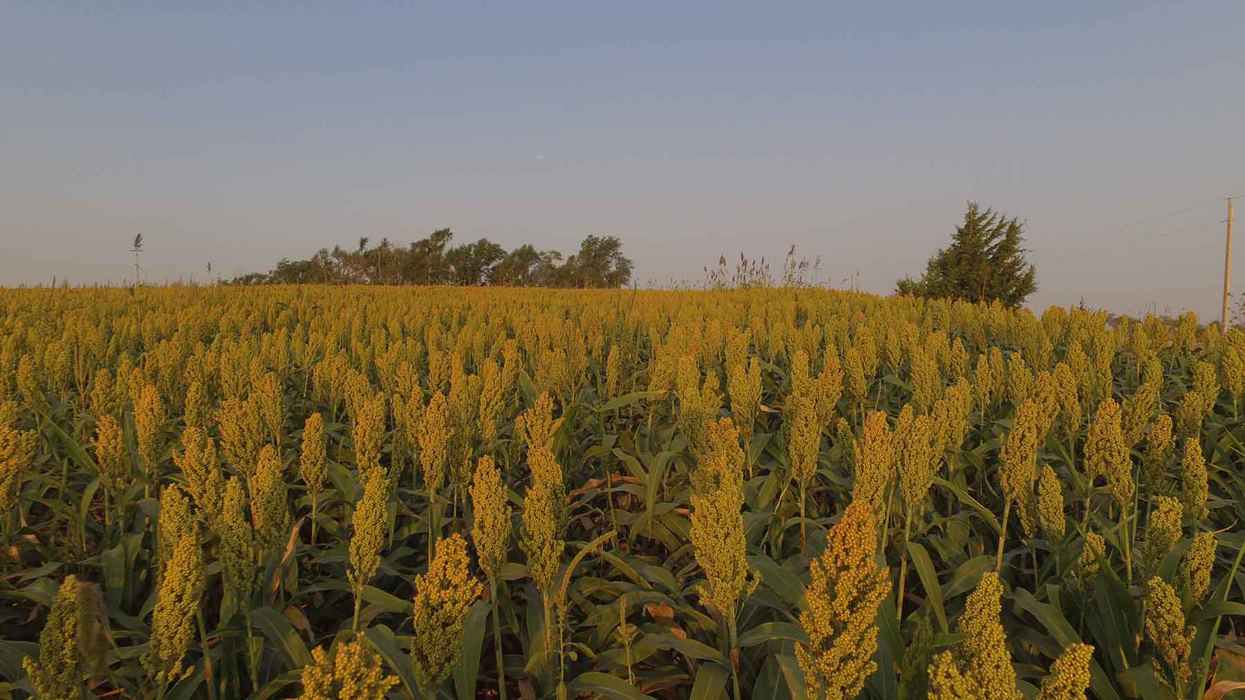 Red Sky Farm & Ranch property picture 52 of 99