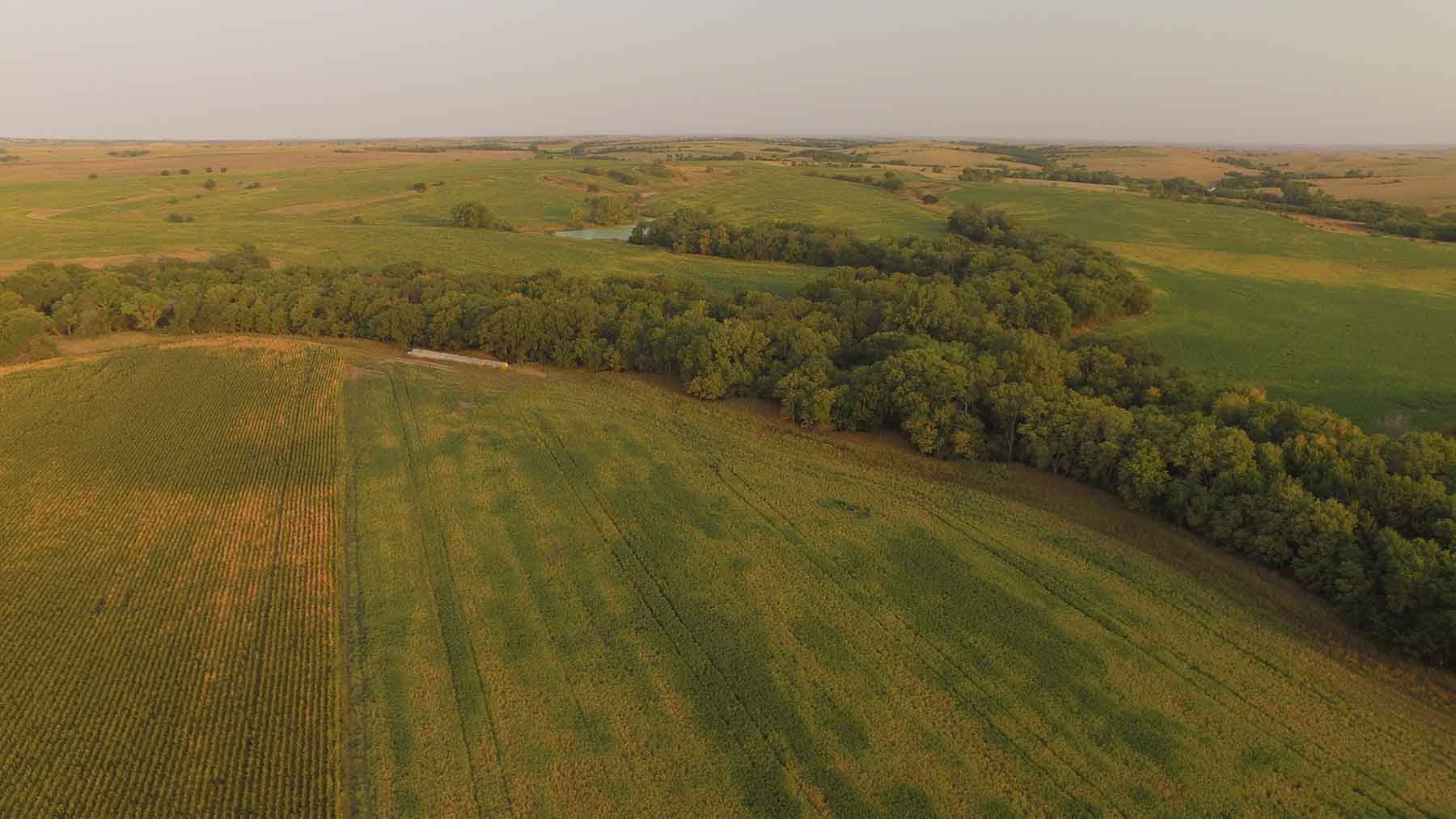 Red Sky Farm & Ranch property picture 51 of 99