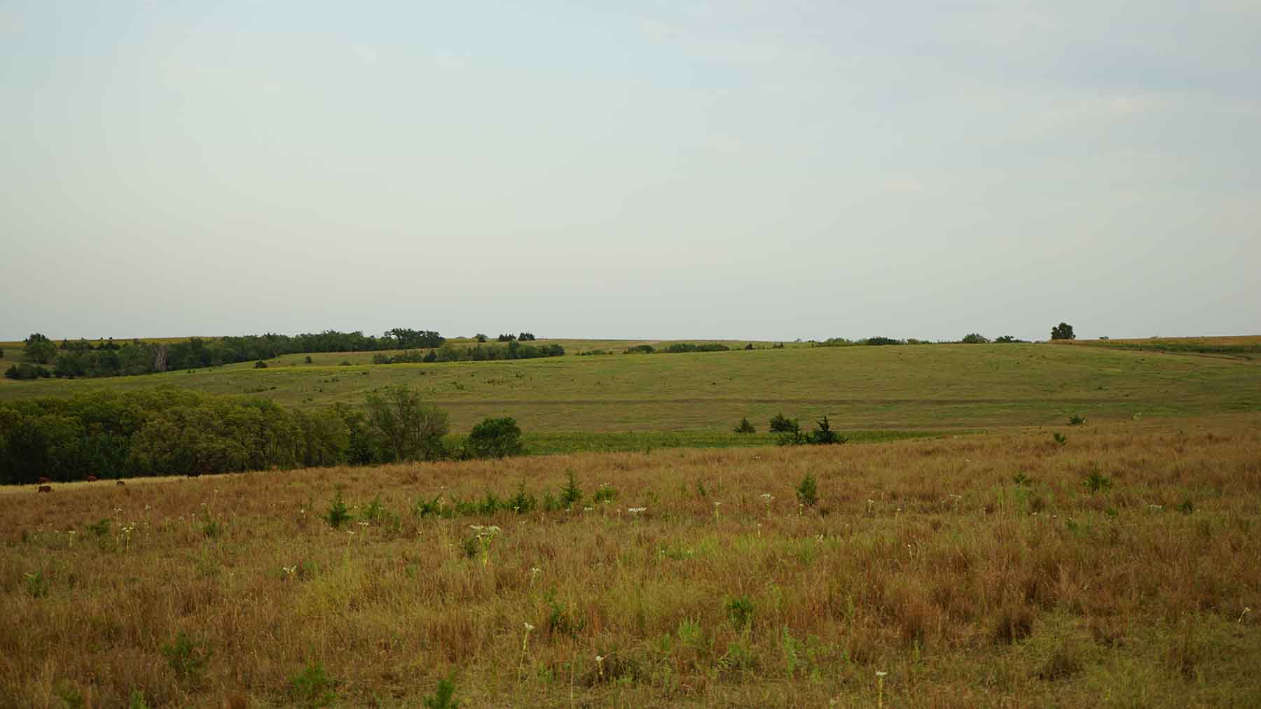Red Sky Farm & Ranch property picture 37 of 99
