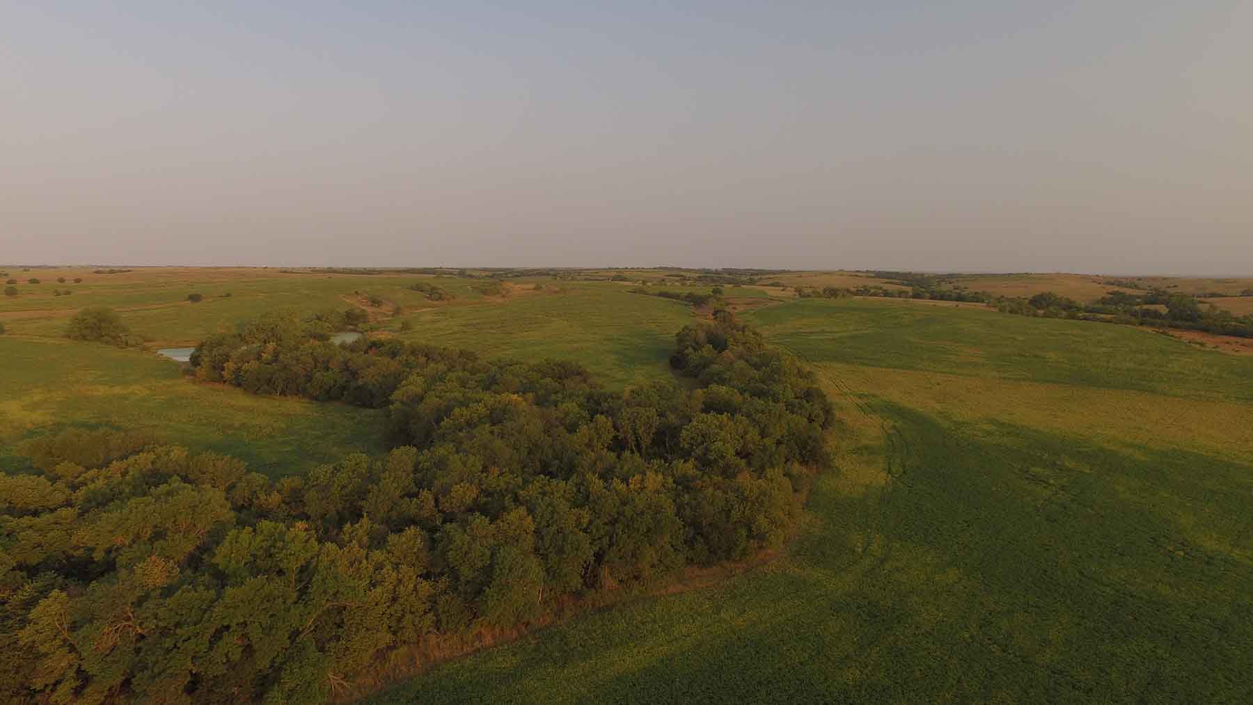 Red Sky Farm & Ranch property picture 43 of 99