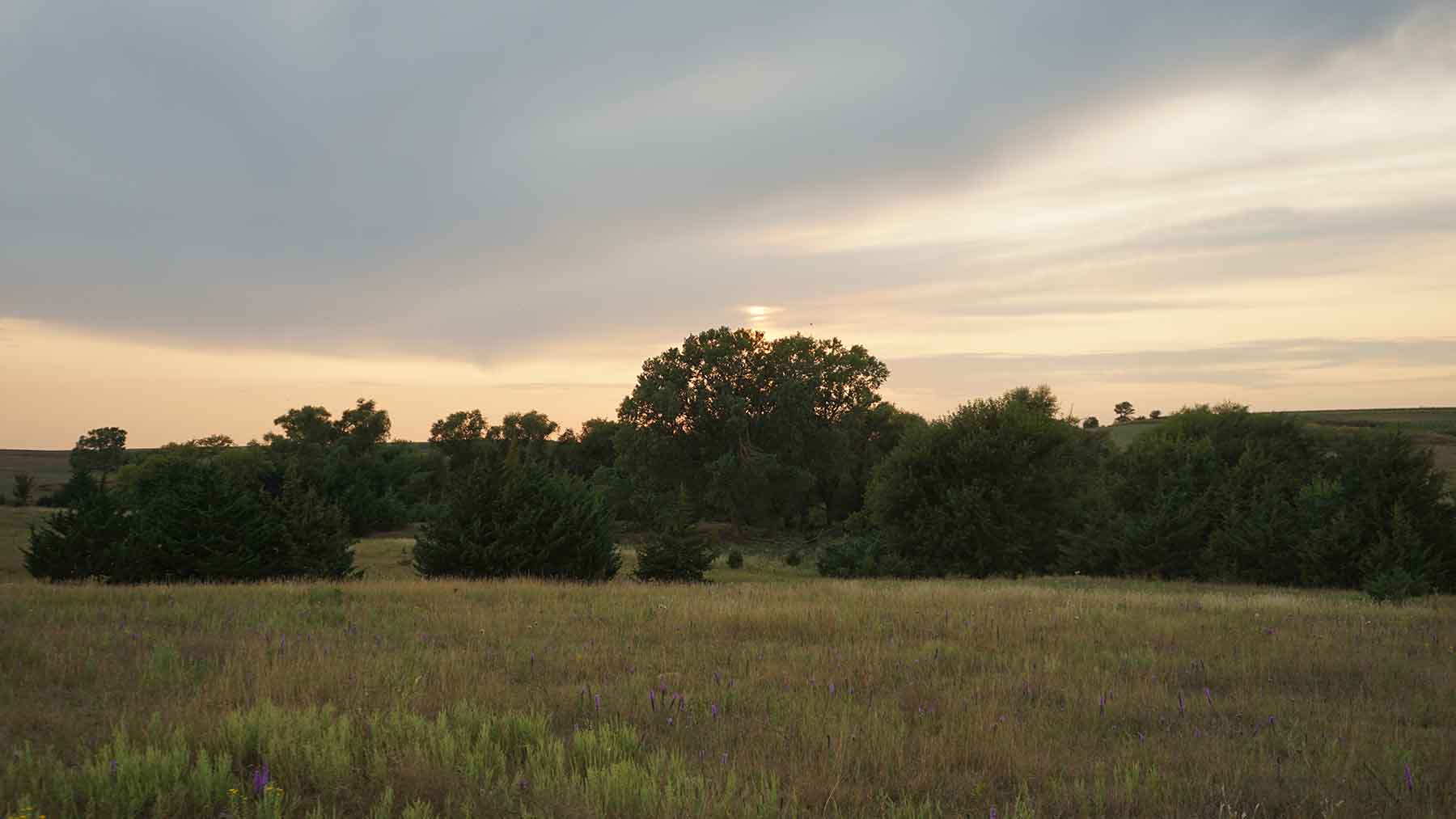 Red Sky Farm & Ranch property picture 80 of 99