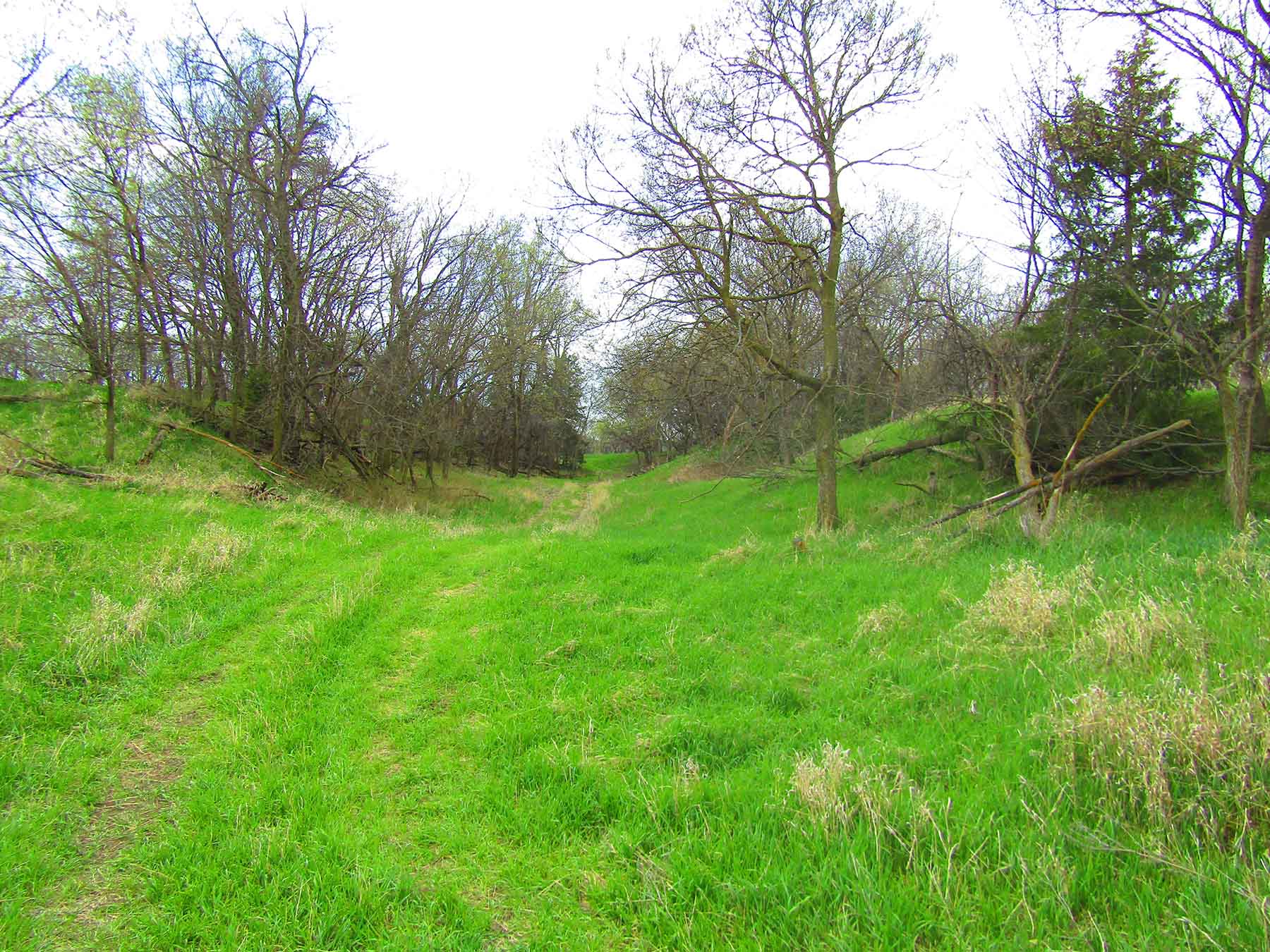 Red Sky Farm & Ranch property picture 20 of 99