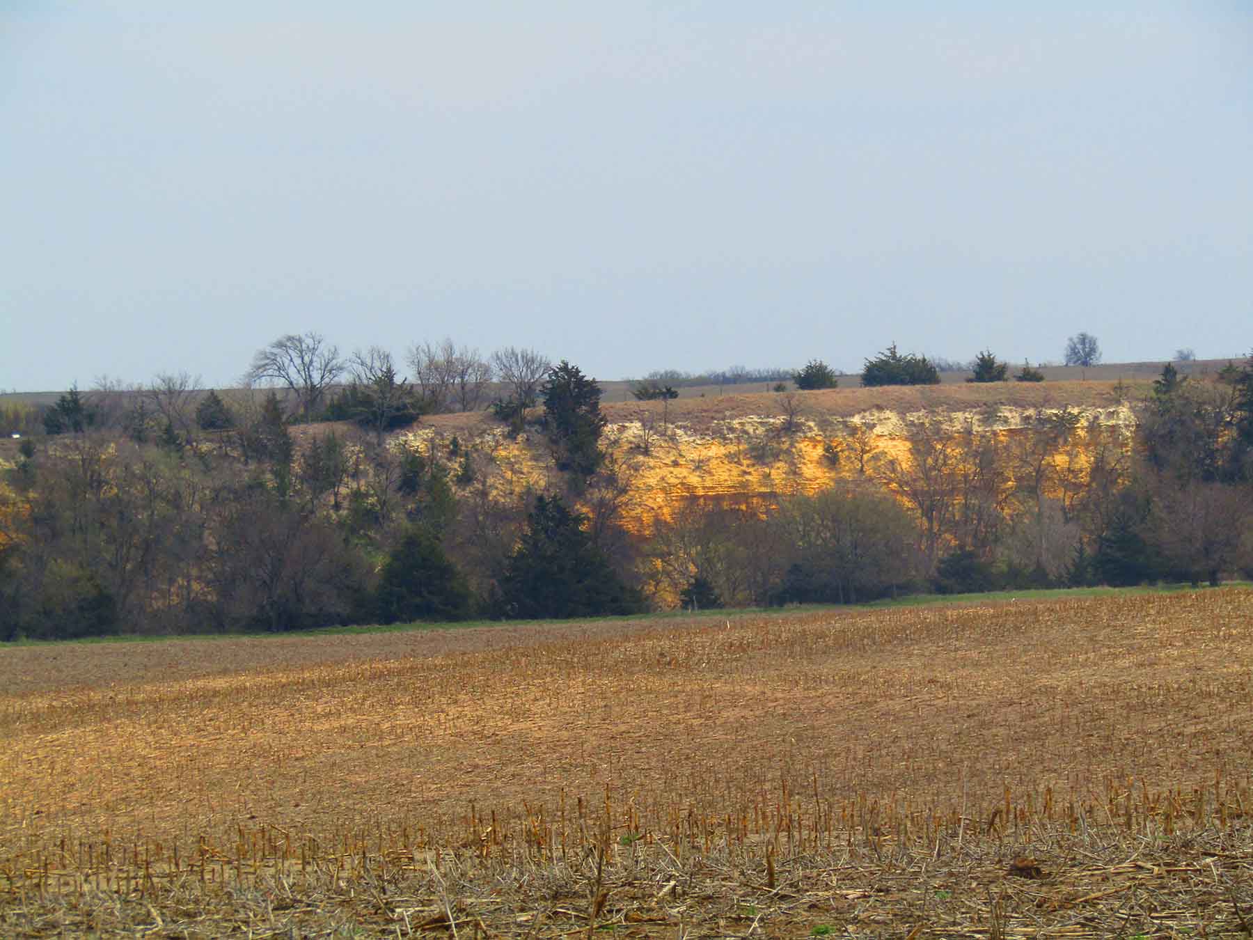 Red Sky Farm & Ranch property picture 18 of 99