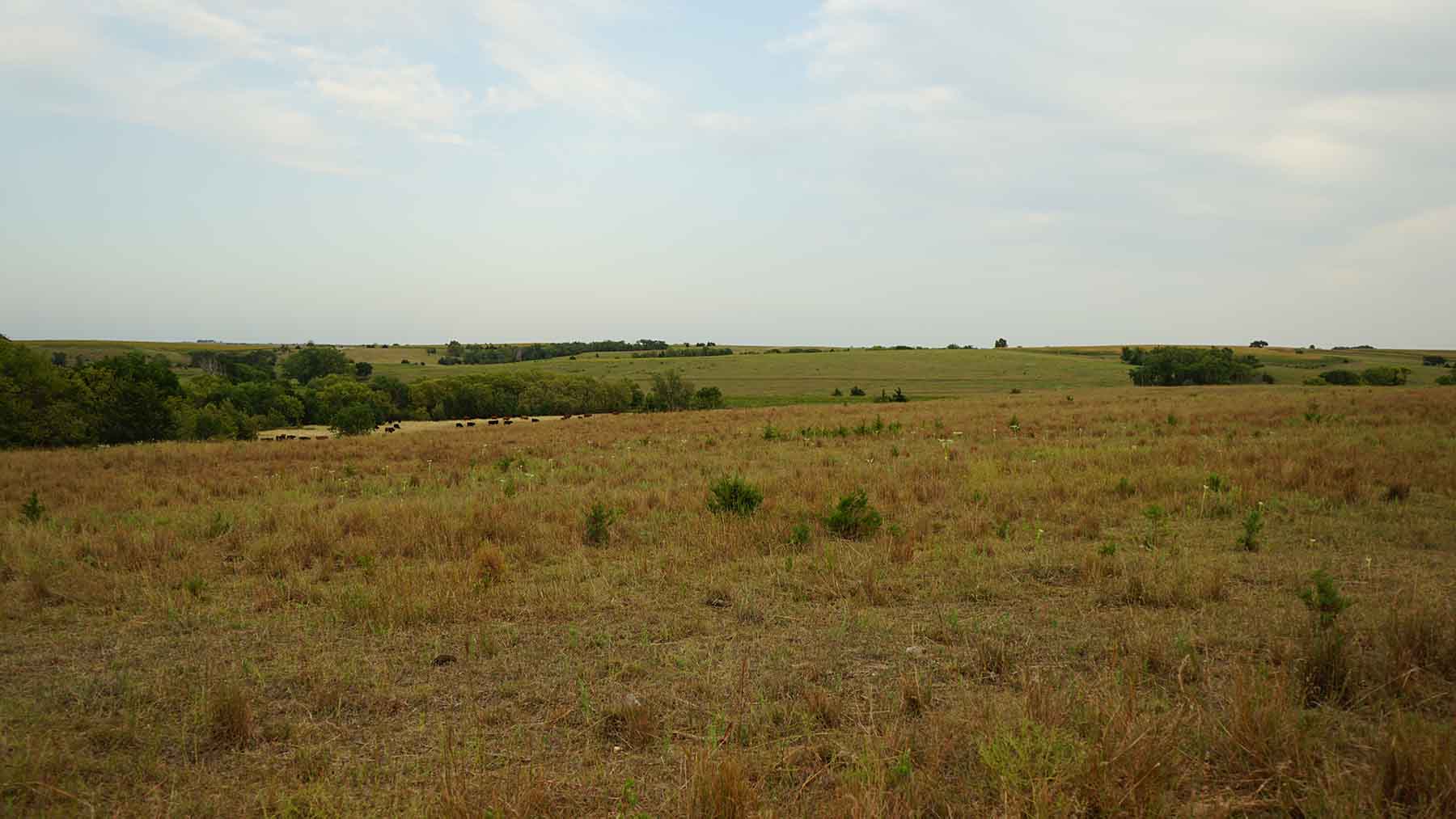 Red Sky Farm & Ranch property picture 67 of 99