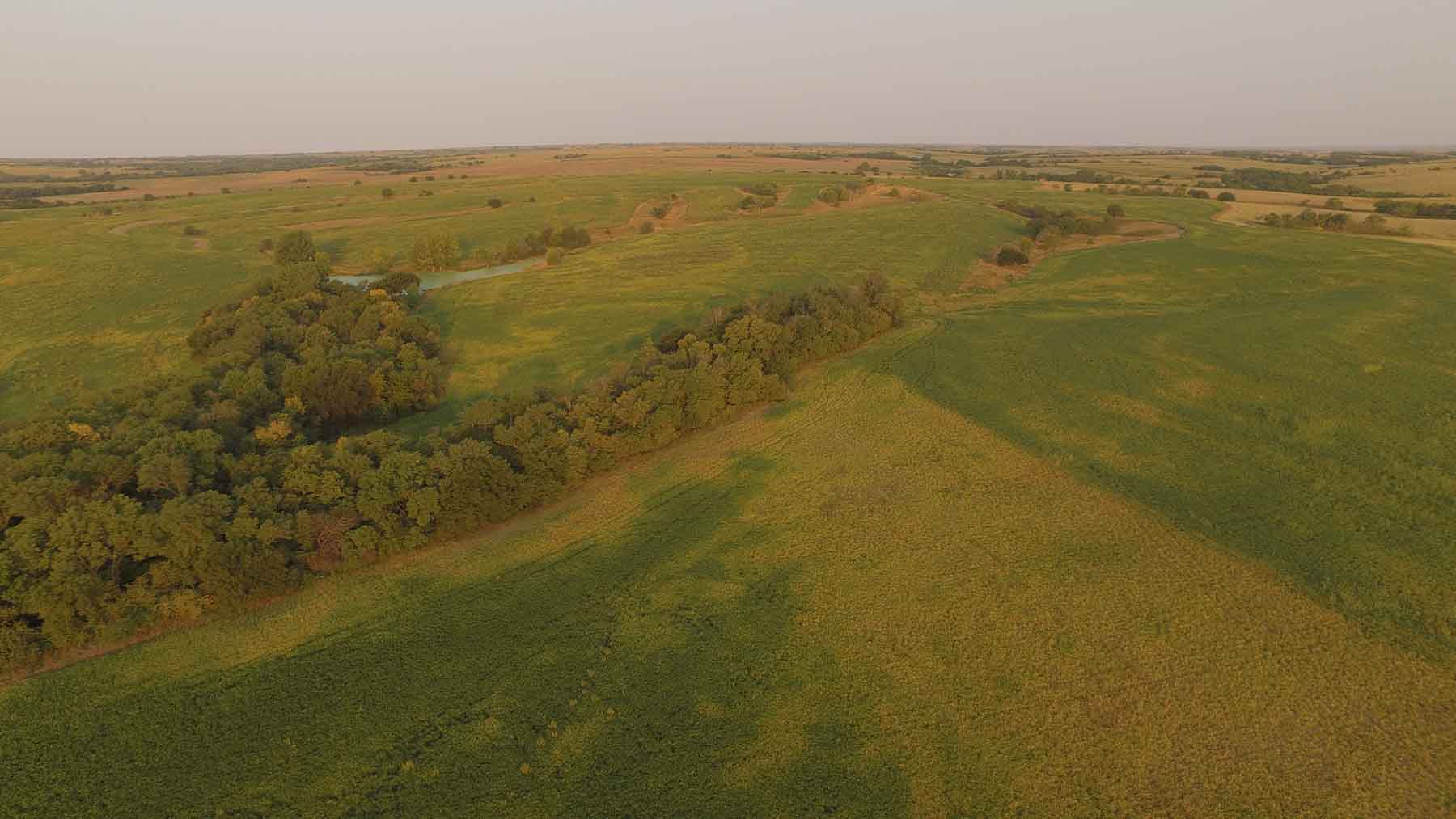 Red Sky Farm & Ranch property picture 49 of 99