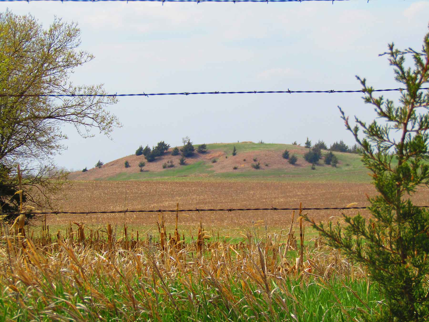 Red Sky Farm & Ranch property picture 22 of 99