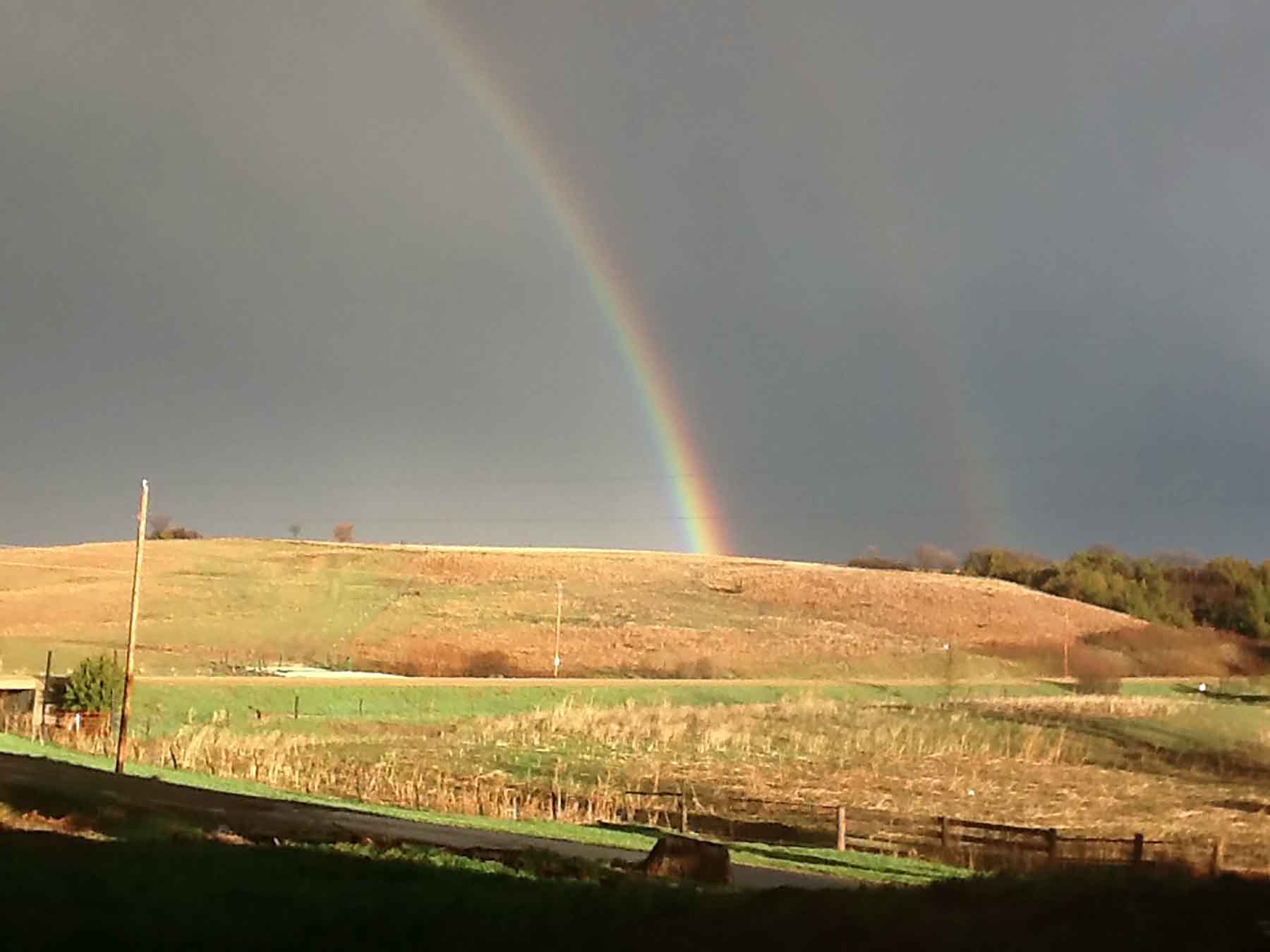 Red Sky Farm & Ranch property picture 28 of 99