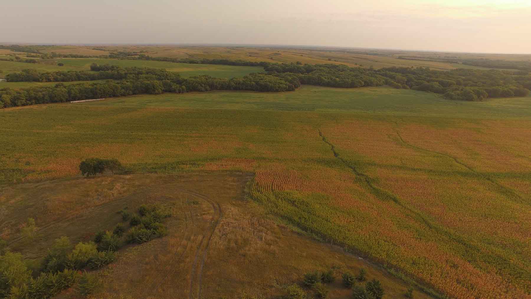 Red Sky Farm & Ranch property picture 34 of 99