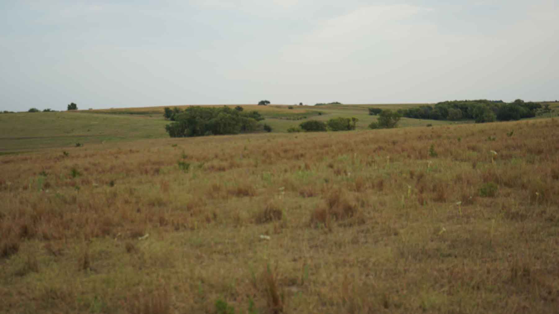 Red Sky Farm & Ranch property picture 65 of 99