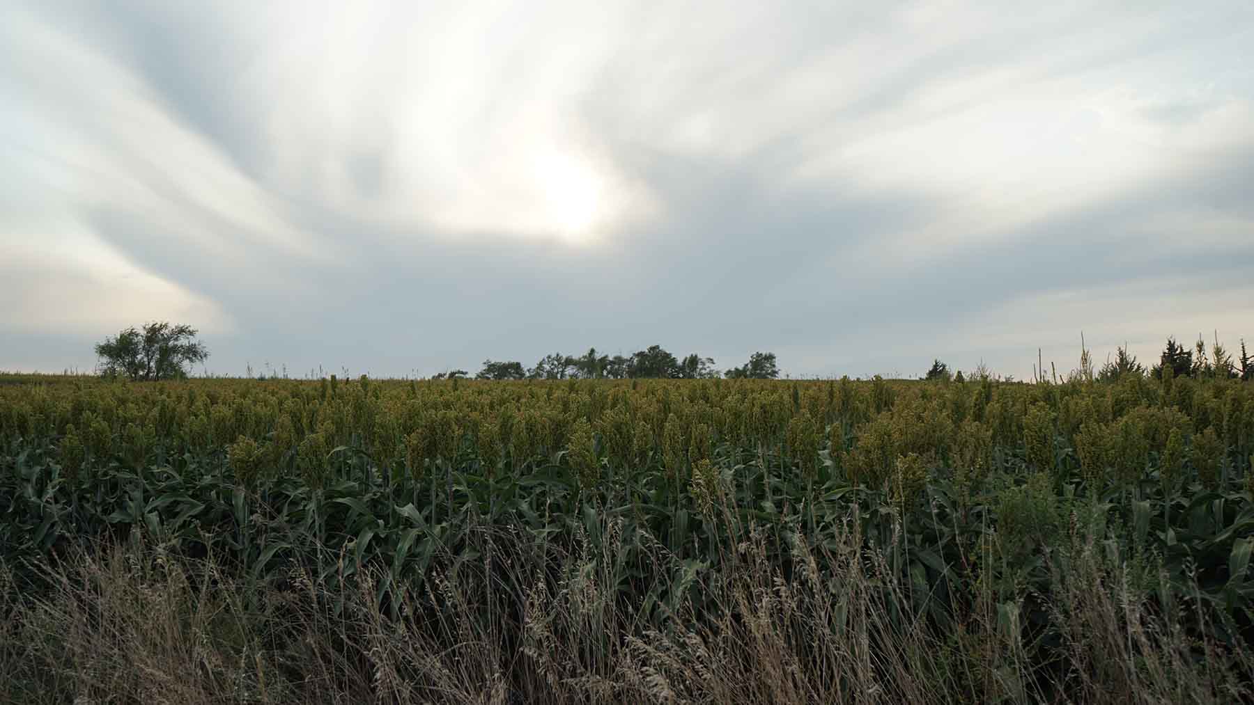 Red Sky Farm & Ranch property picture 58 of 99