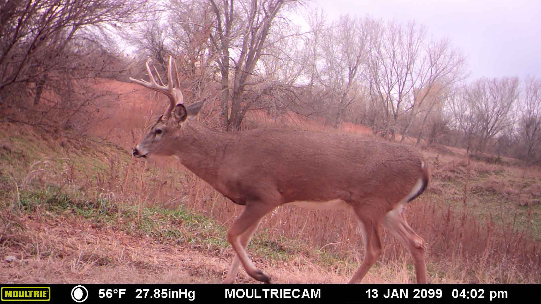 Red Sky Farm & Ranch property picture 30 of 99