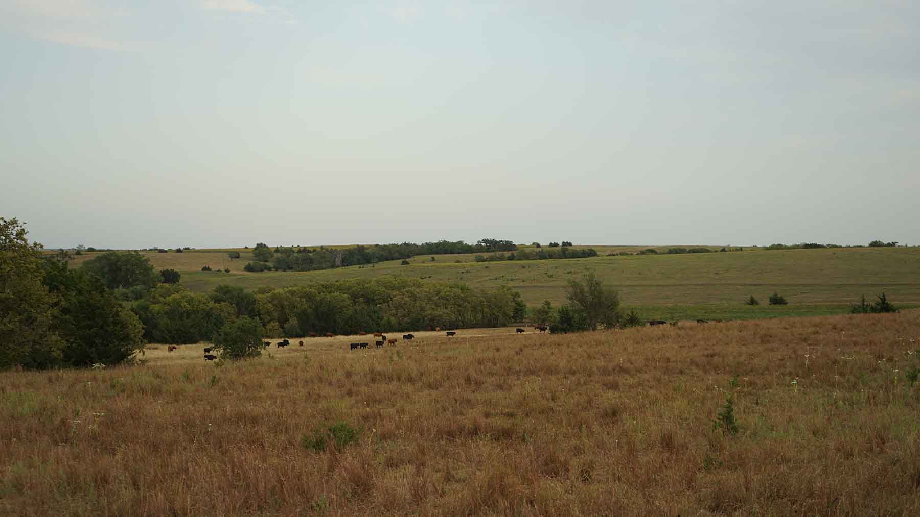 Red Sky Farm & Ranch property picture 72 of 99