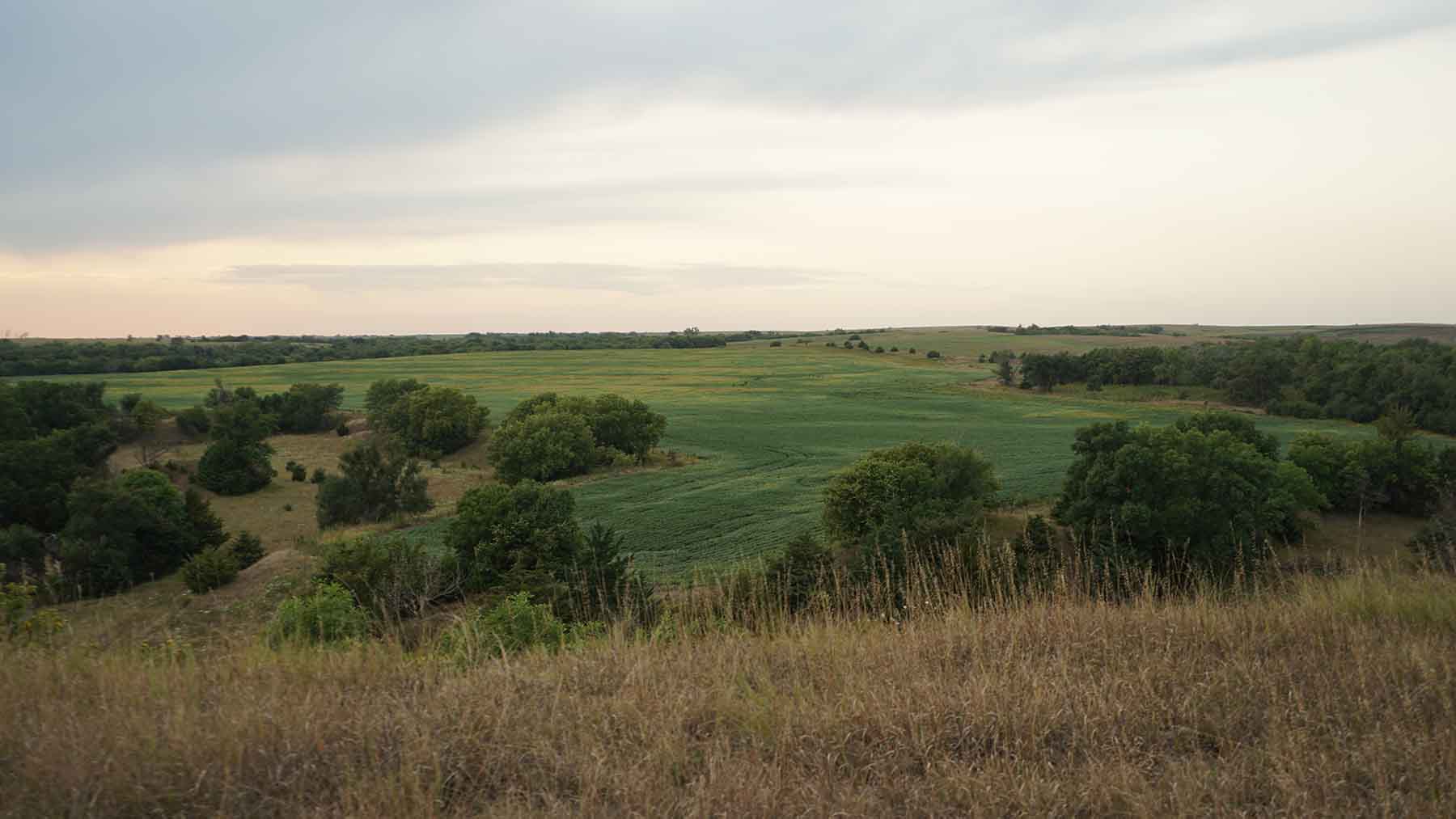 Red Sky Farm & Ranch property picture 70 of 99