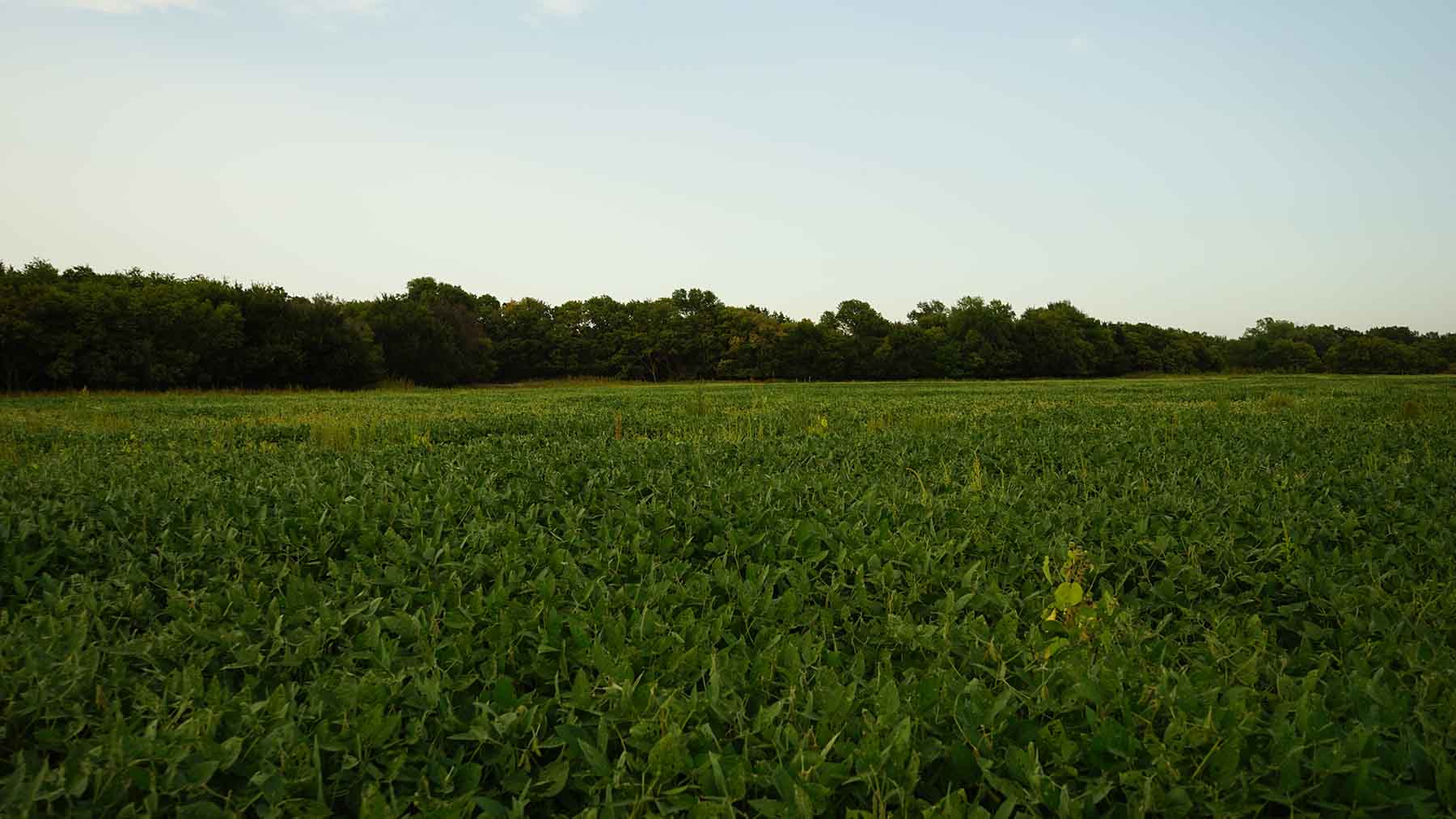 Red Sky Farm & Ranch property picture 60 of 99