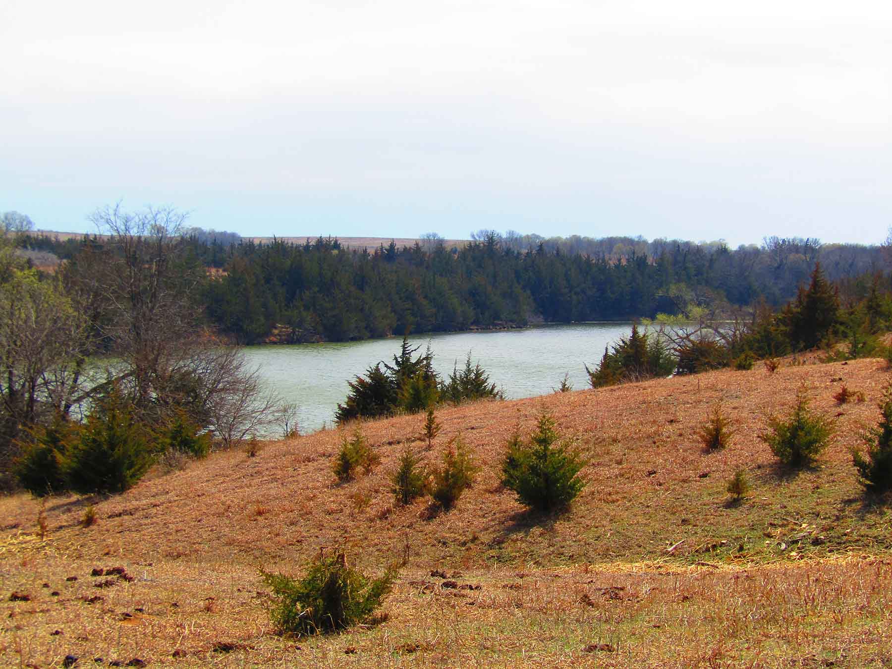 Red Sky Farm & Ranch property picture 91 of 99