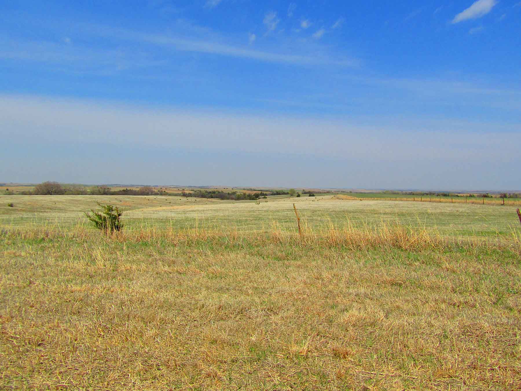 Red Sky Farm & Ranch property picture 11 of 99