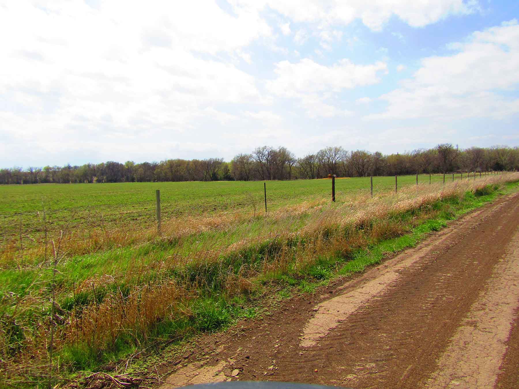 Red Sky Farm & Ranch property picture 14 of 99