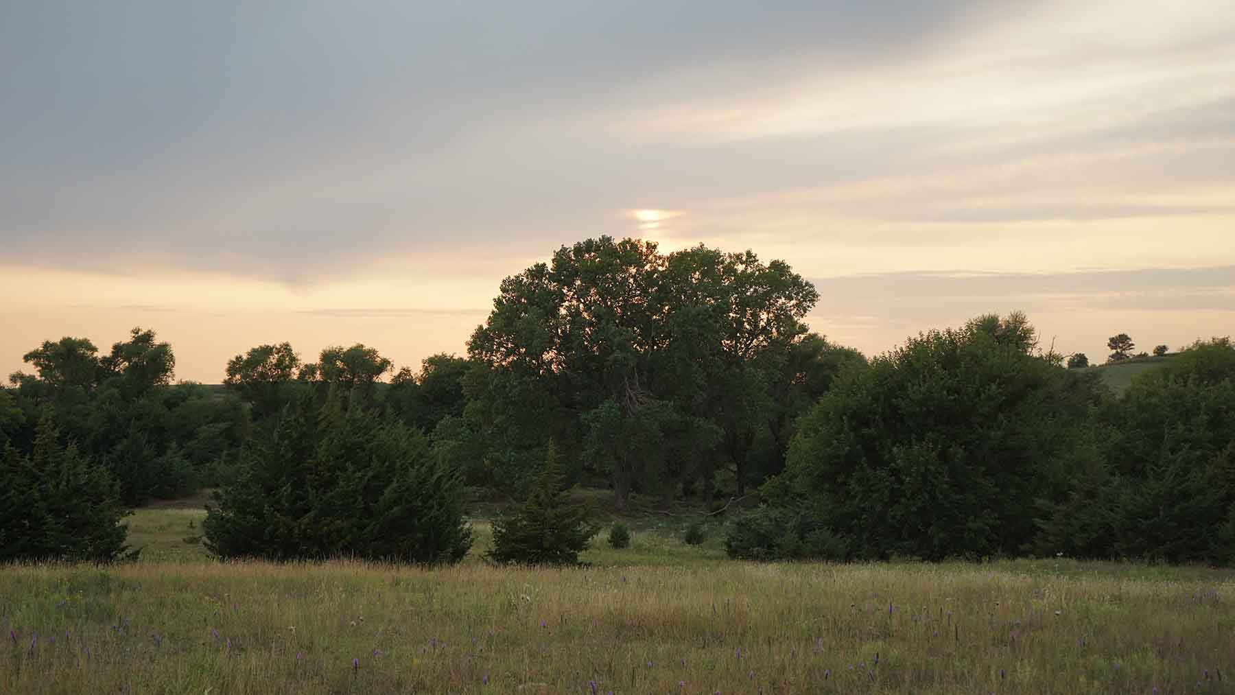 Red Sky Farm & Ranch property picture 82 of 99