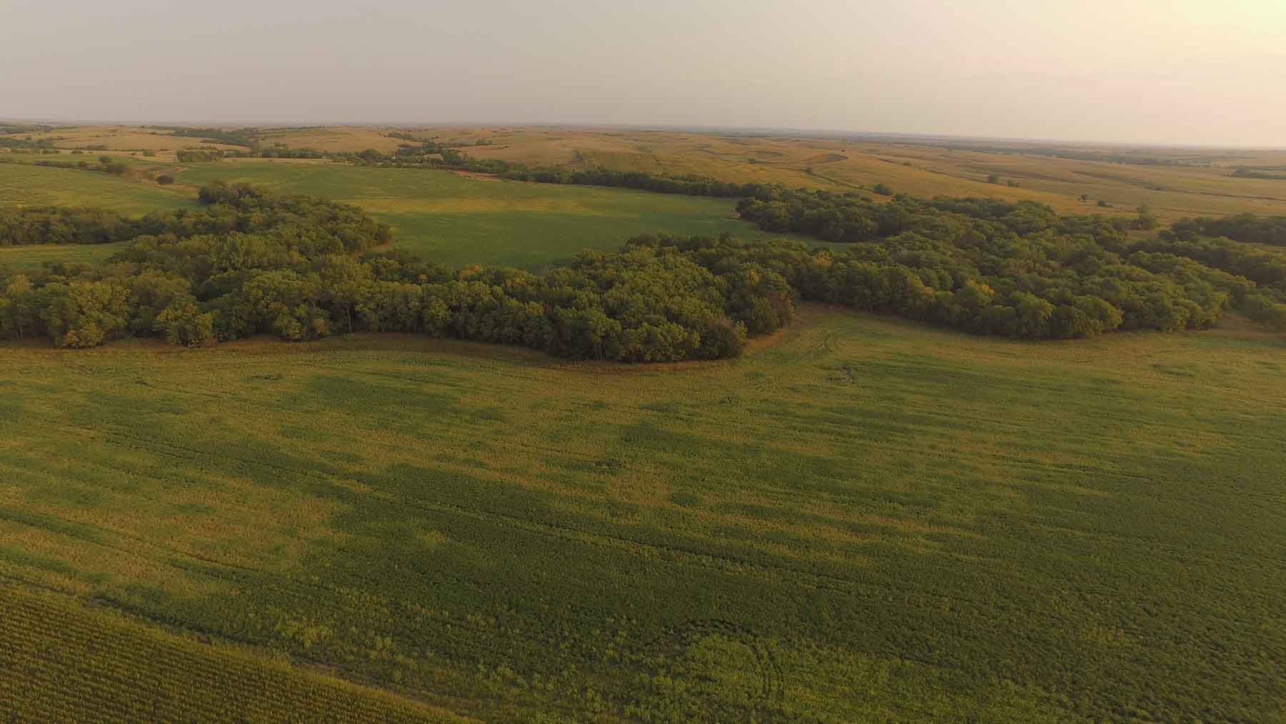 Red Sky Farm & Ranch property picture 50 of 99