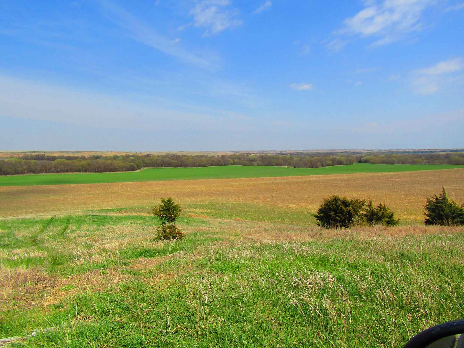 Red Sky Farm & Ranch property picture 98 of 99