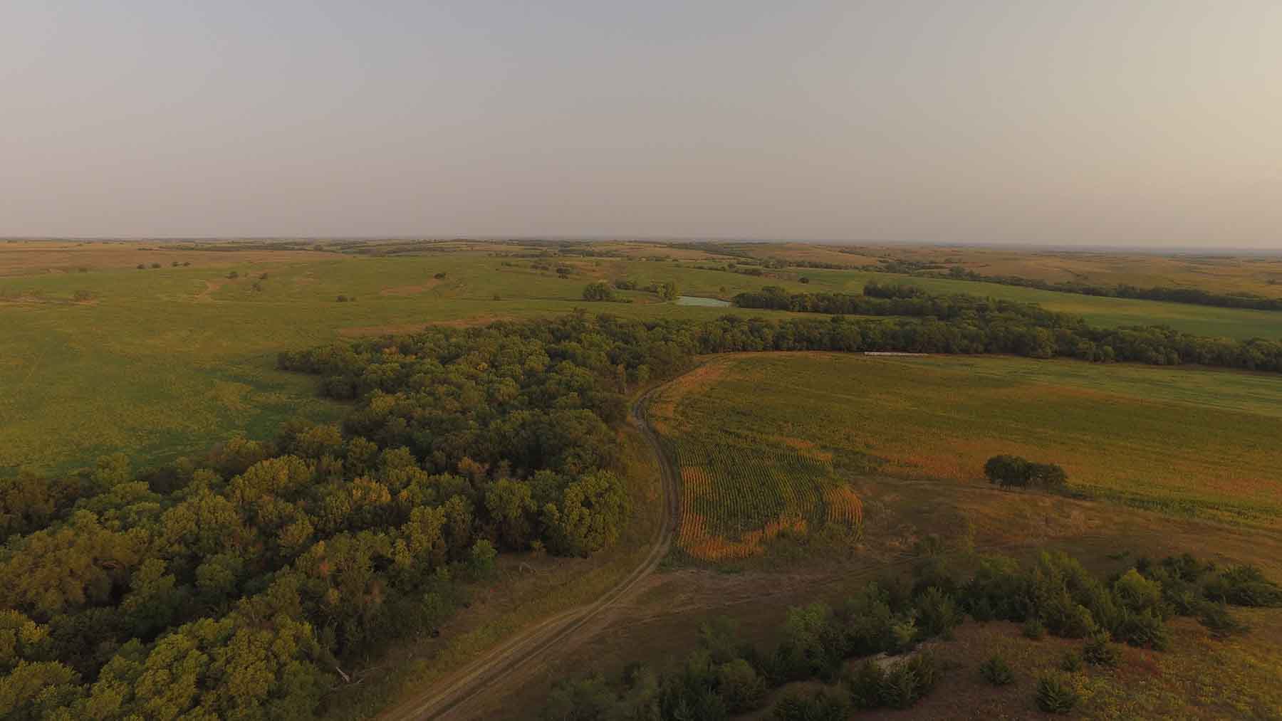 Red Sky Farm & Ranch property picture 40 of 99