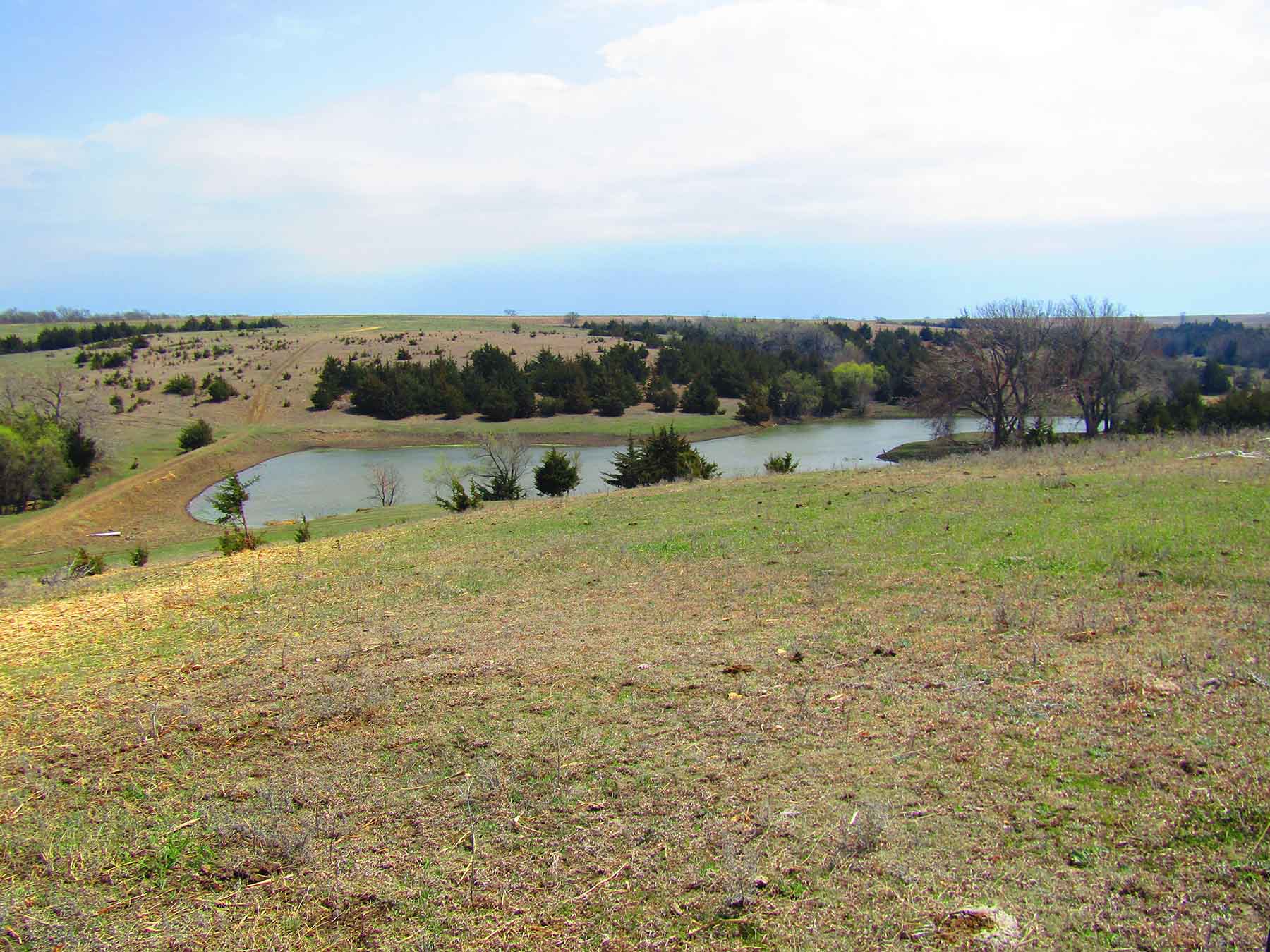 Red Sky Farm & Ranch property picture 90 of 99