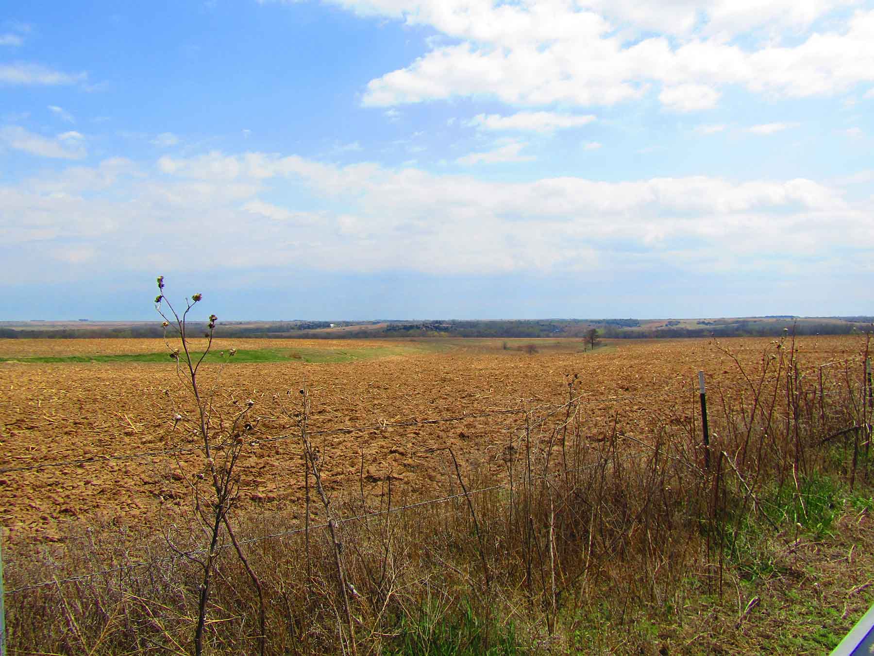 Red Sky Farm & Ranch property picture 16 of 99