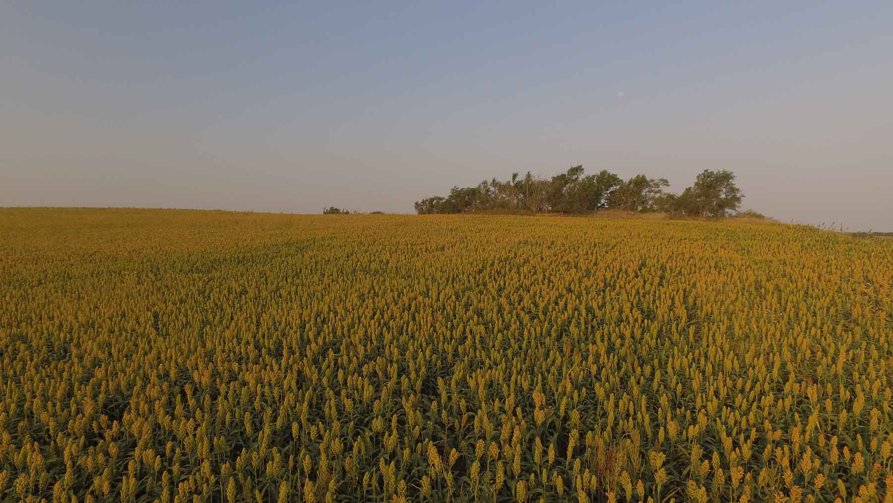 Red Sky Farm & Ranch property picture 53 of 99