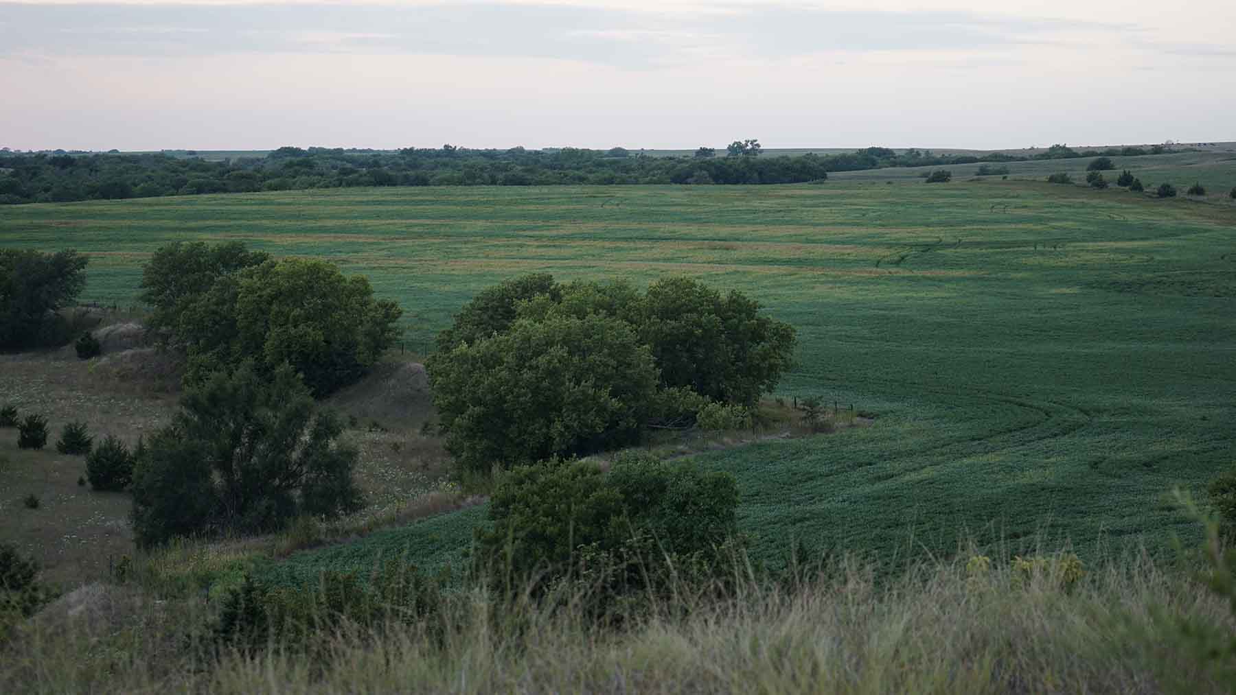 Red Sky Farm & Ranch property picture 78 of 99