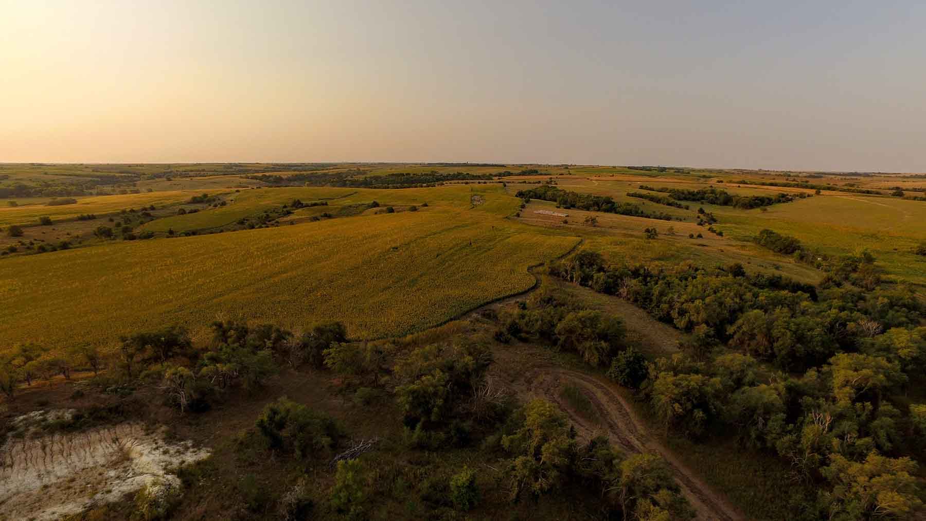 Red Sky Farm & Ranch property picture 35 of 99