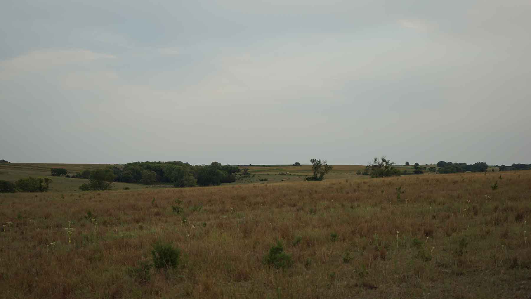 Red Sky Farm & Ranch property picture 76 of 99